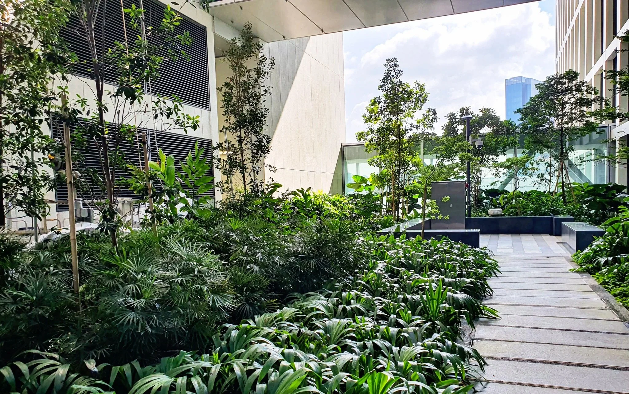 Urban outdoor garden with lush green plants, trees, and a paved walkway framed by modern buildings with glass windows.