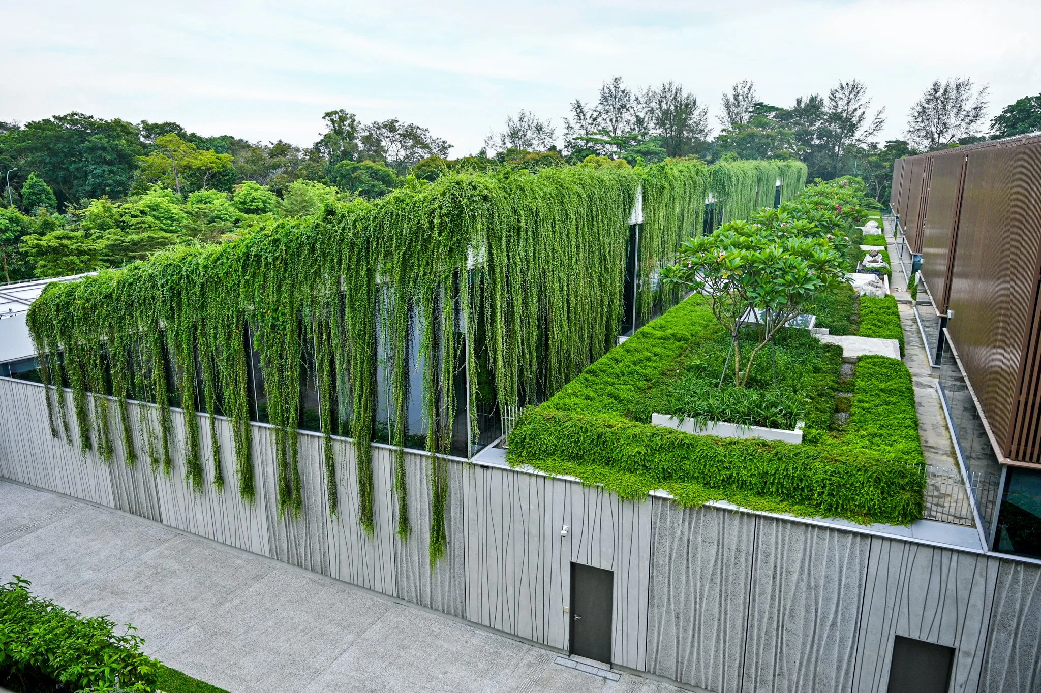 Modern building with green roof and hanging plants, surrounded by trees and greenery.