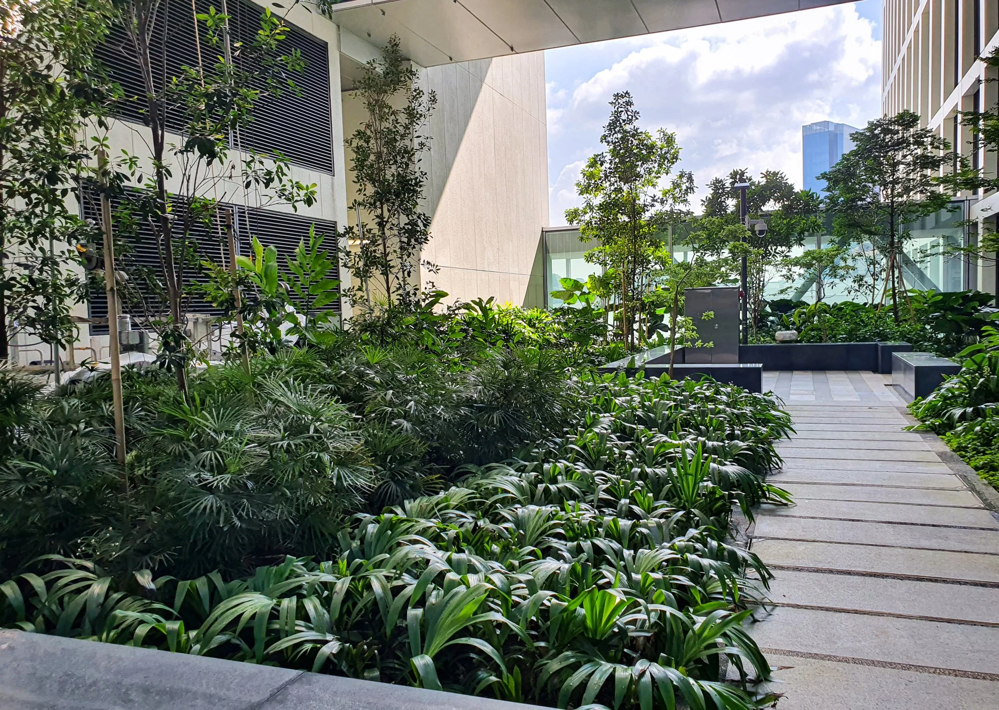 Urban garden with greenery and trees on a patio or terrace, bordered by modern buildings and a pathway.