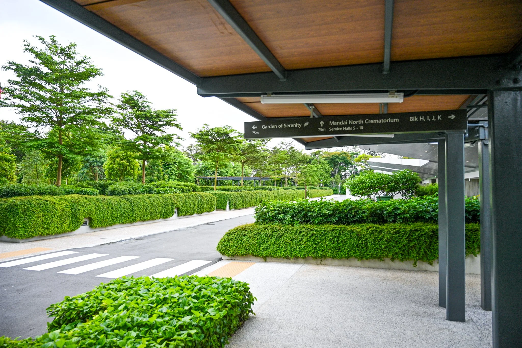 Pathway at a cemetery with lush green bushes and trees, covered by a modern structure with overhead signs indicating directions to 'Garden of Serenity' and 'Mandai North Crematorium'.