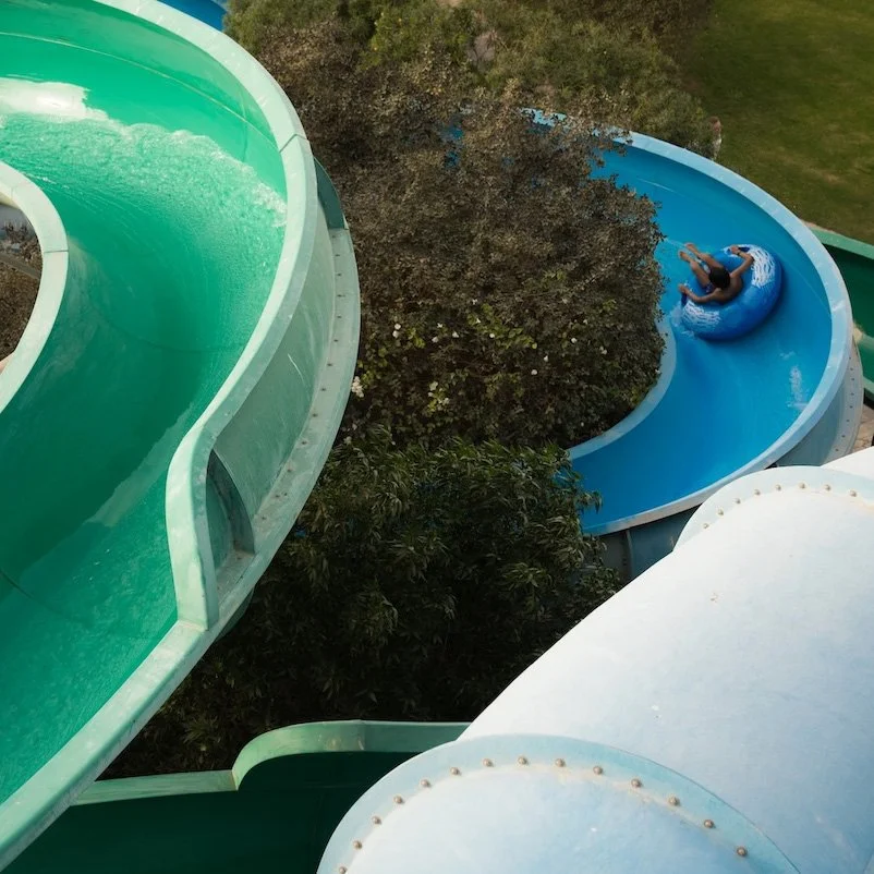 Octopus Slides 5 .jpg