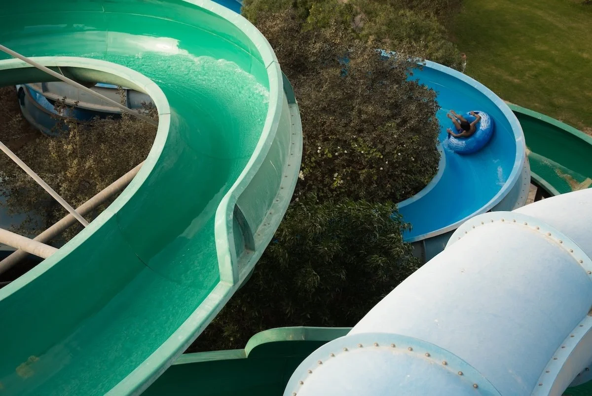 Octopus Slides 5 .jpg