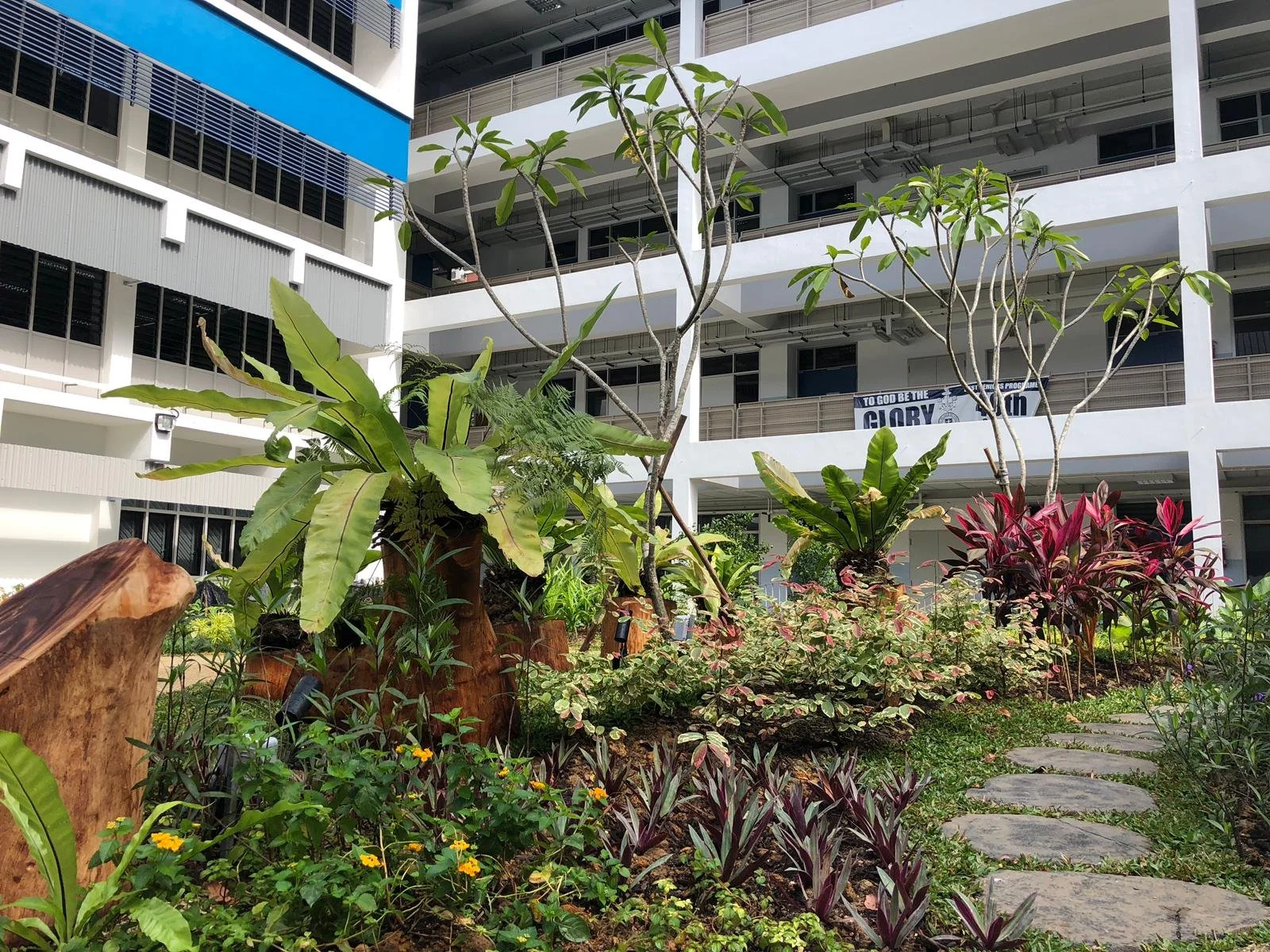 WhatsApp Image 2019-01-17 at 4.22.12 PM (1).jpeg