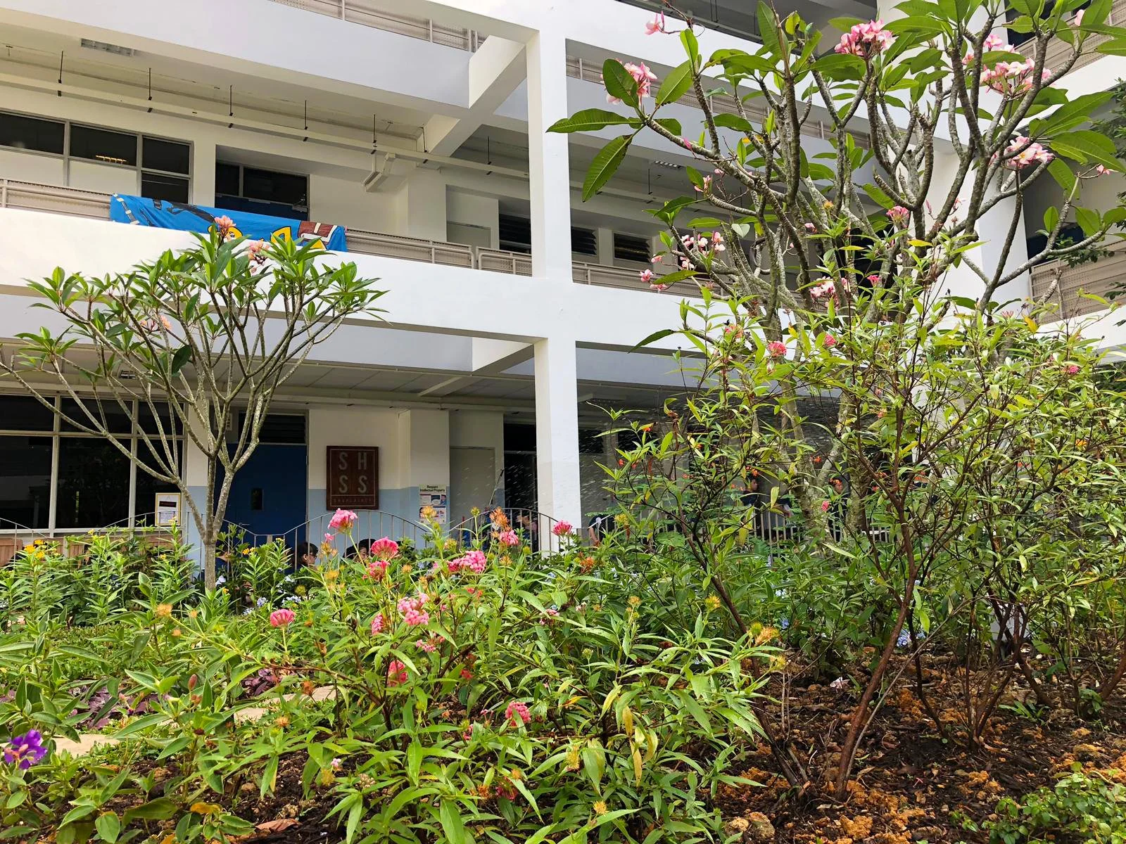 WhatsApp Image 2019-01-17 at 4.22.12 PM.jpeg