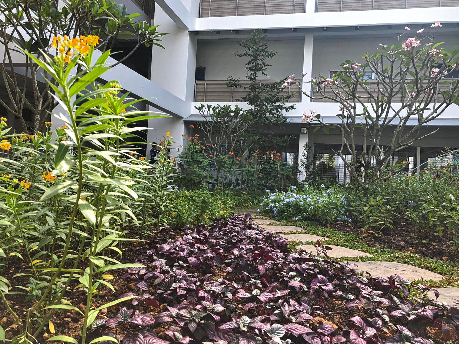 WhatsApp Image 2019-01-17 at 4.22.13 PM (1).jpeg