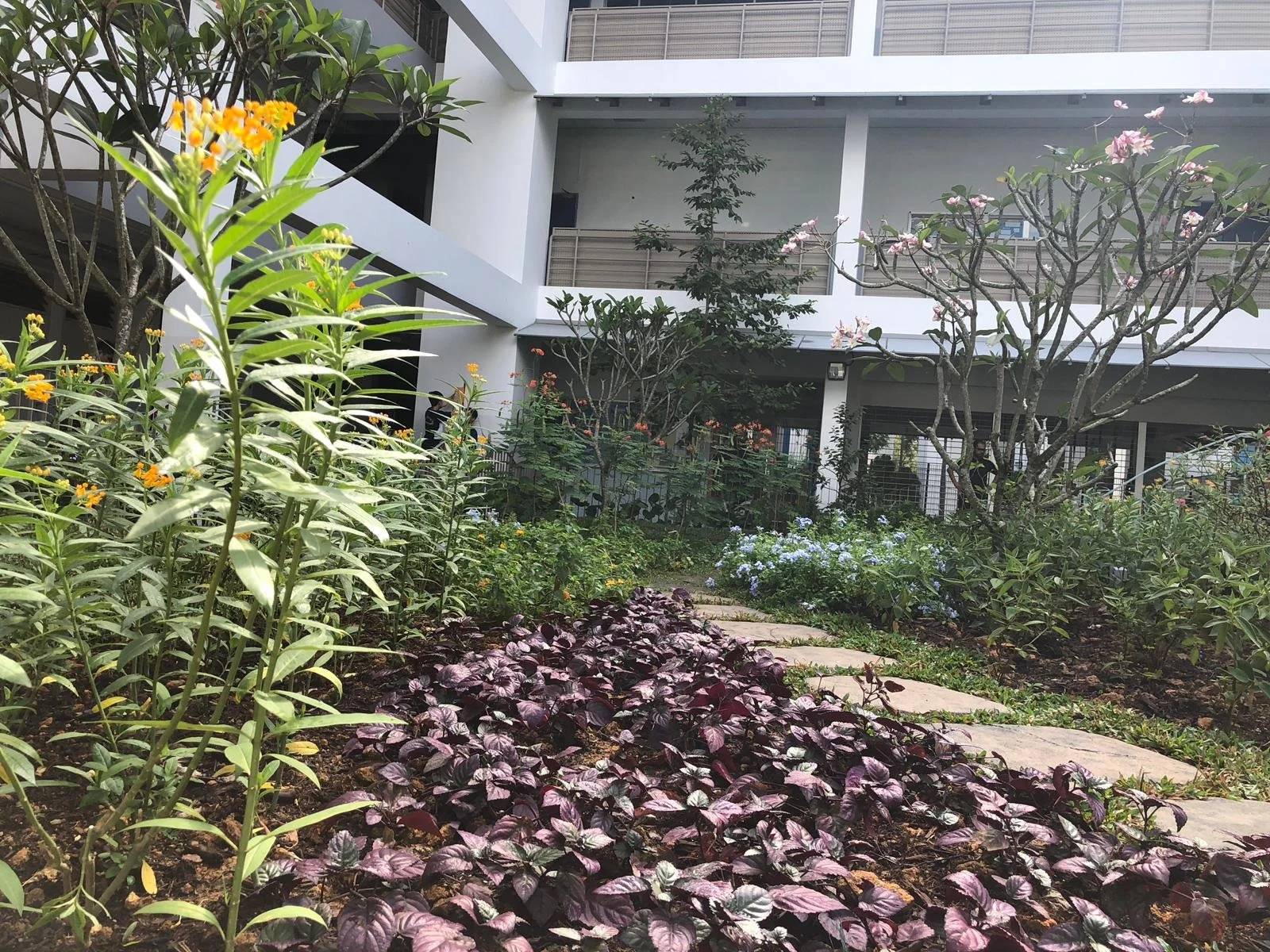 WhatsApp Image 2019-01-17 at 4.22.13 PM (1).jpeg