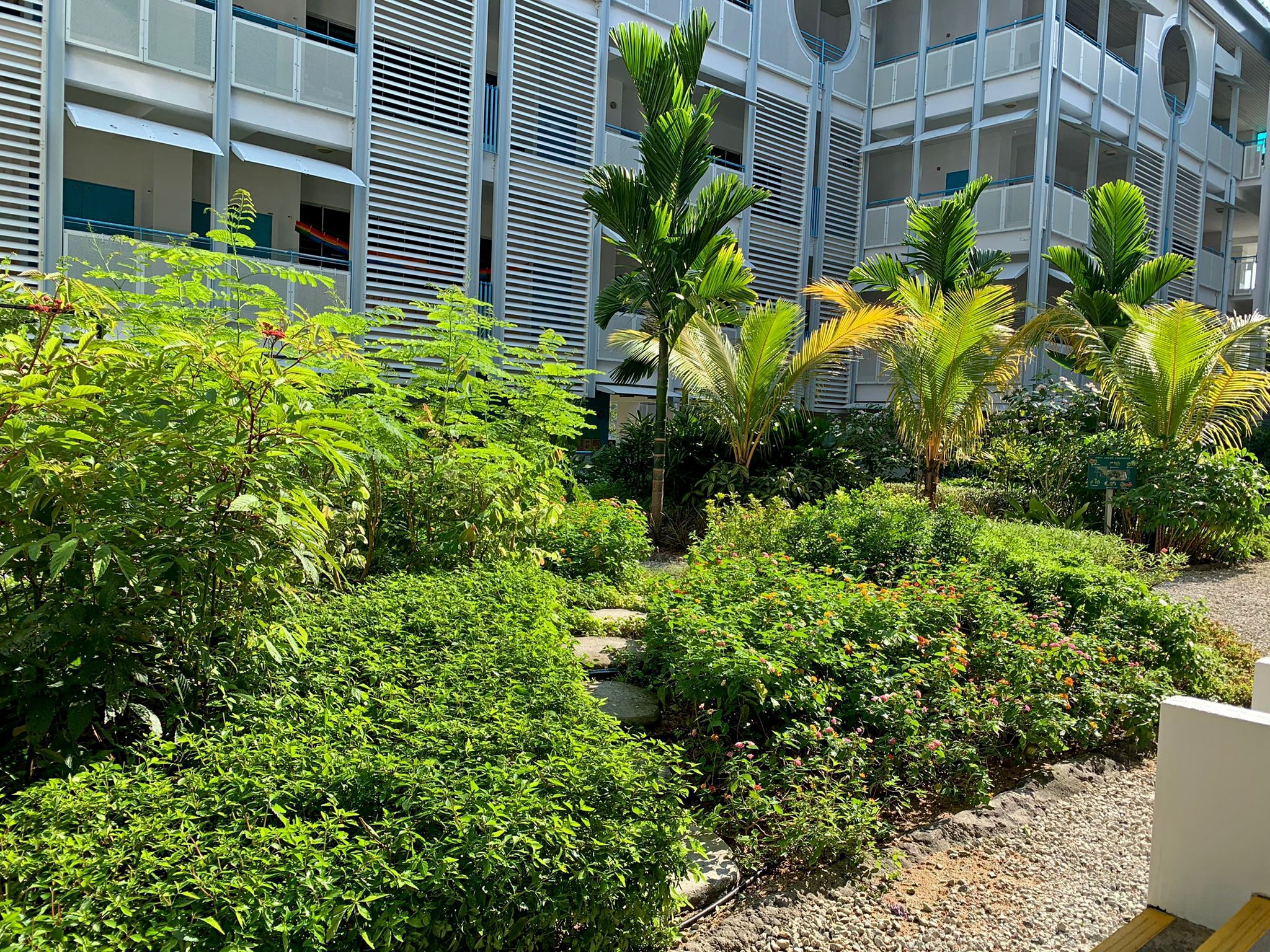 WhatsApp Image 2021-11-02 at 10.15.53 AM (2).jpeg