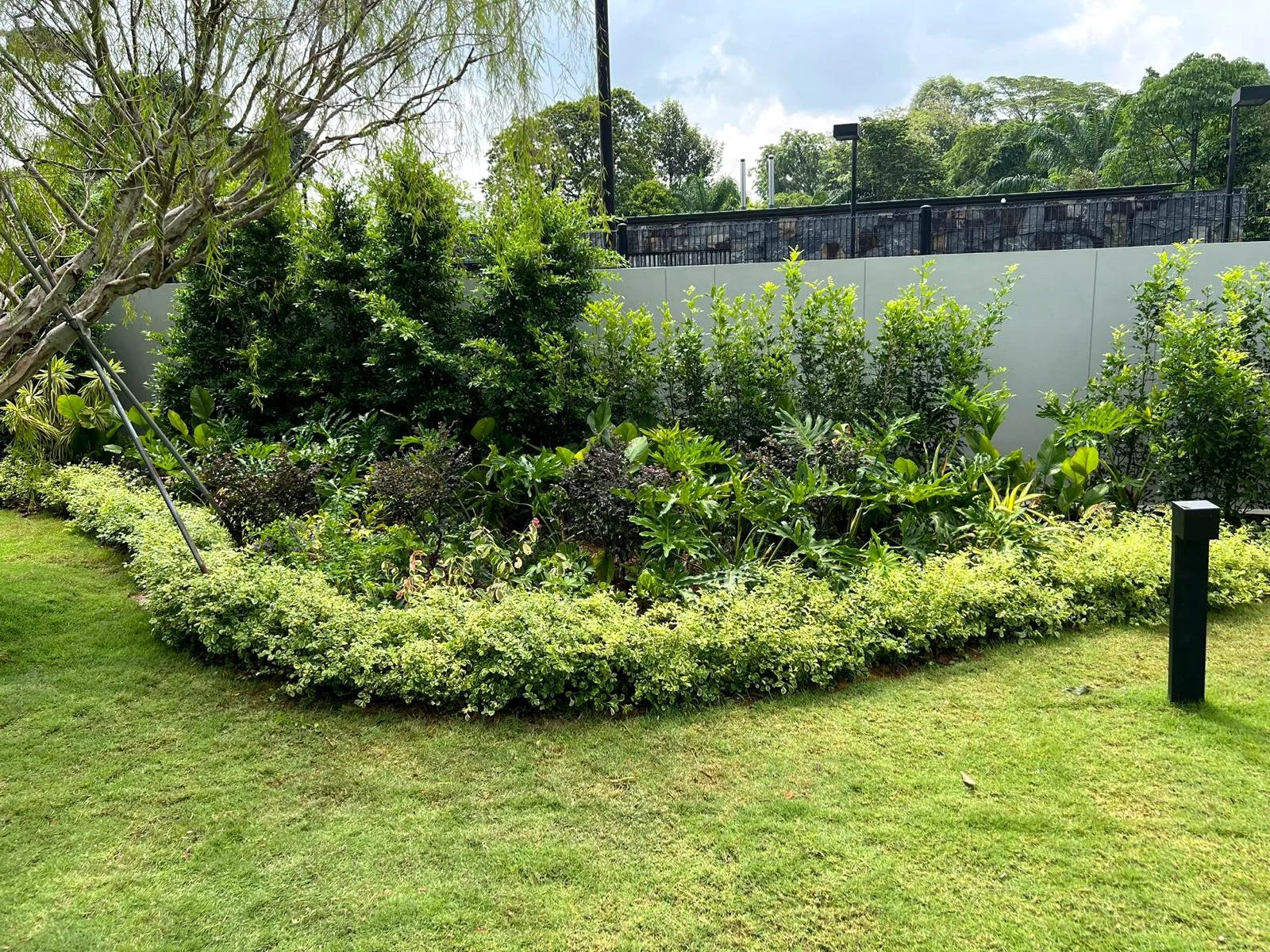 A garden with green grass, various shrubs, bushes, and trees, separated by a low hedge, with a white wall and trees in the background.