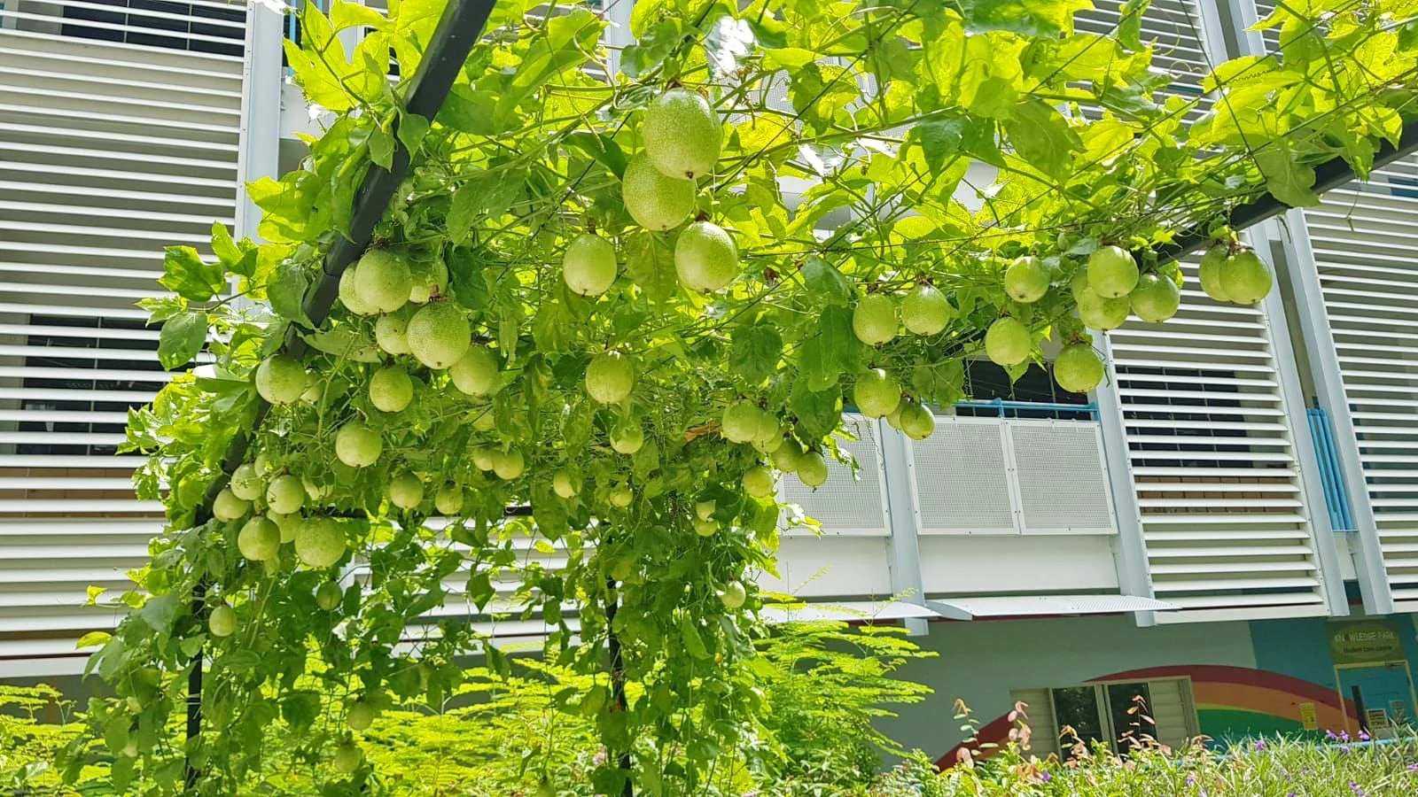 WhatsApp Image 2021-11-02 at 10.15.57 AM.jpeg