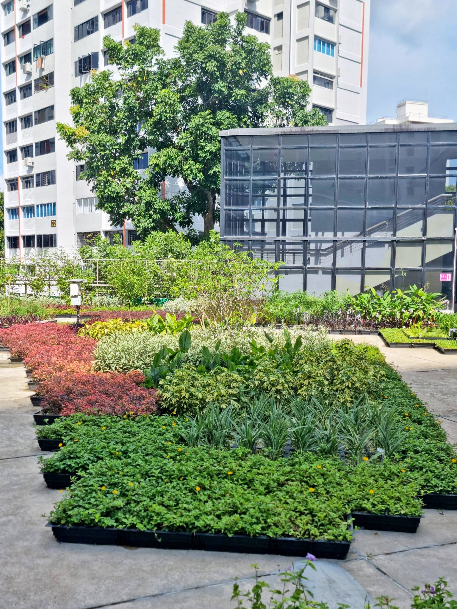 WhatsApp Image 2022-07-04 at 1.12.26 PM.jpeg