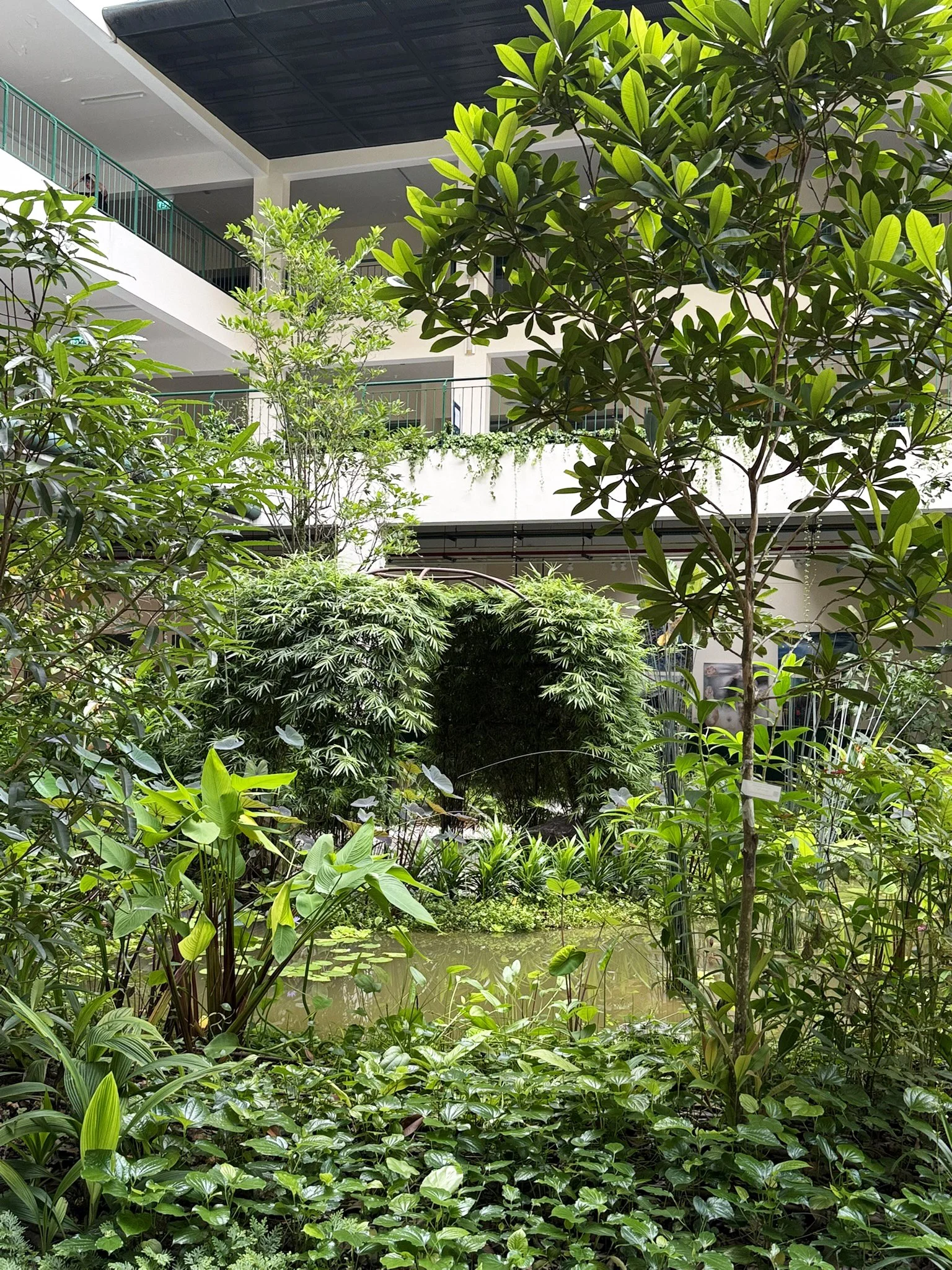 Indoor garden with a pond, surrounded by various green plants and trees, located inside a multi-story building with balconies.