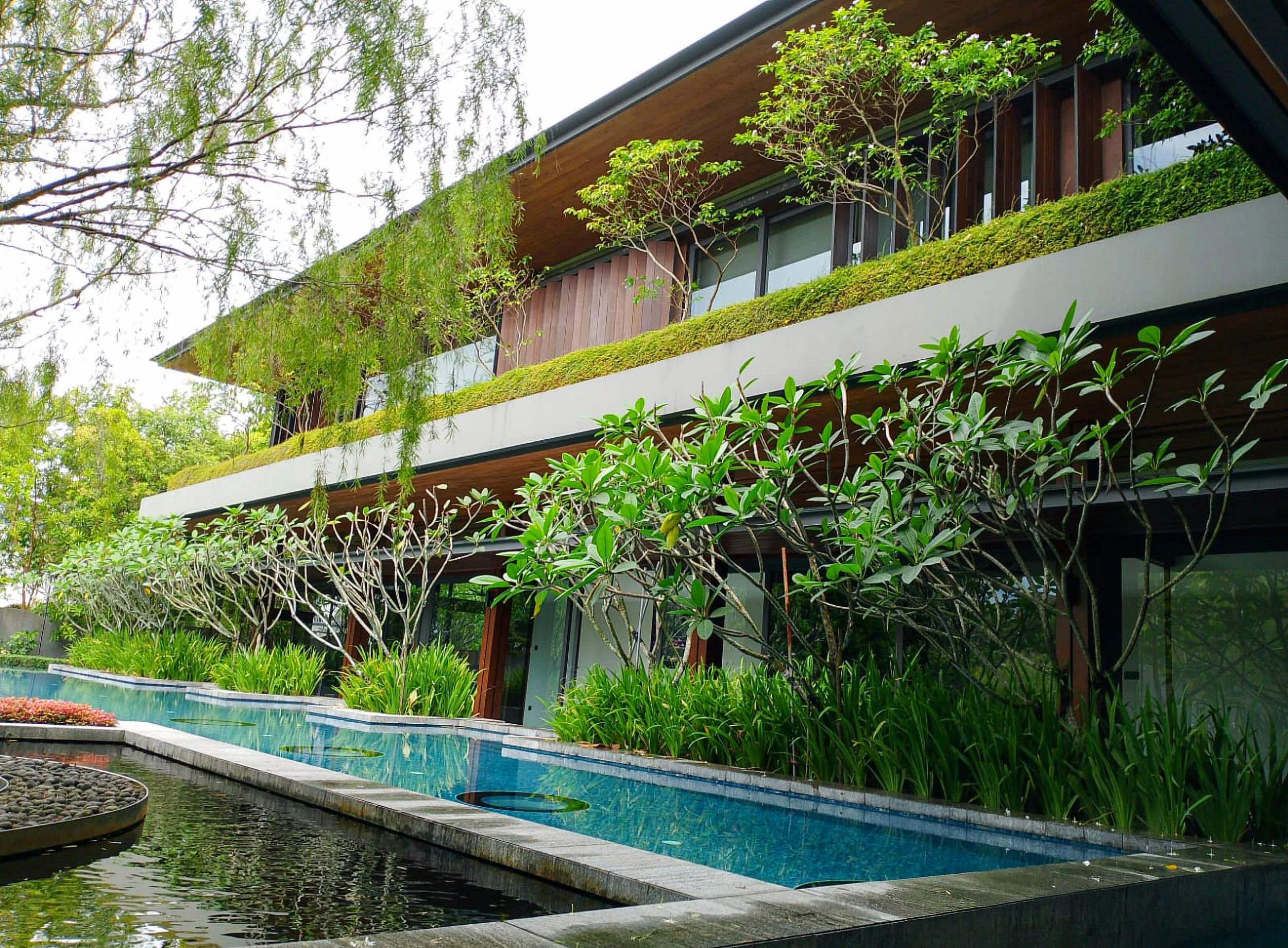 Modern multi-story house with large windows, surrounded by lush greenery and a water feature in the foreground.