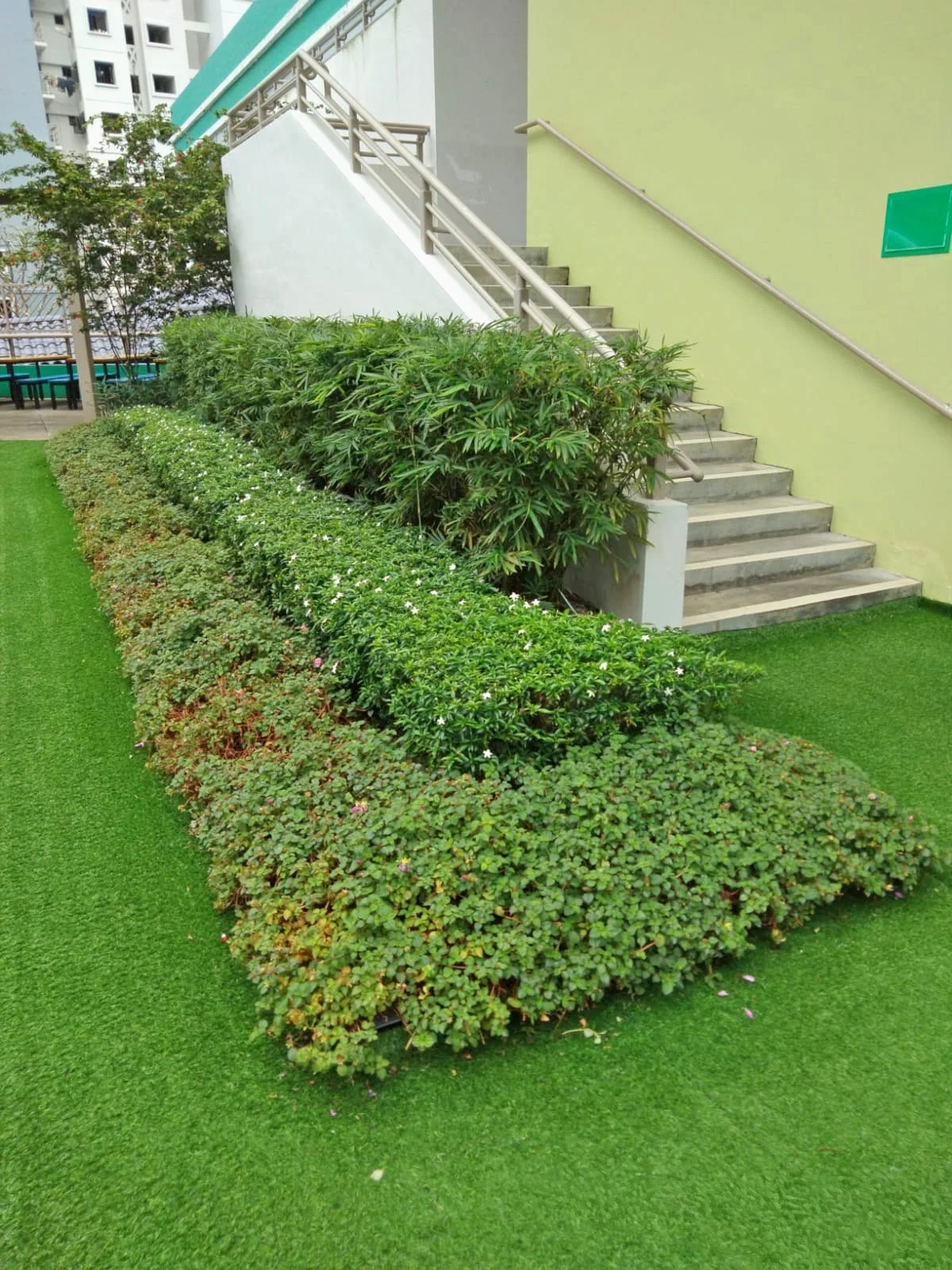 WhatsApp Image 2024-02-01 at 3.52.57 PM (1).jpeg