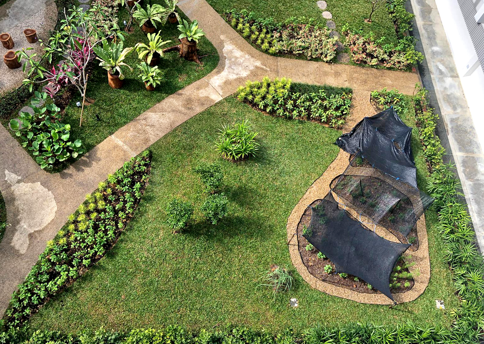 A backyard garden with lush green grass, assorted plants, trees, and shrubs. A curved walking path divides the yard, and there are areas covered with black shade cloths over plant beds.