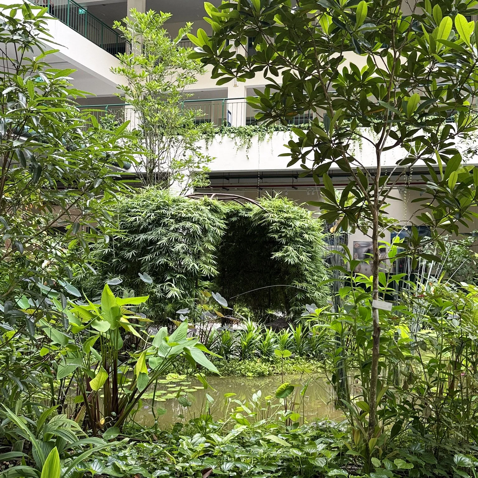 Indoor botanical garden with lush green plants, trees, and a pond, situated inside a modern building with multiple levels and glass railing balconies.