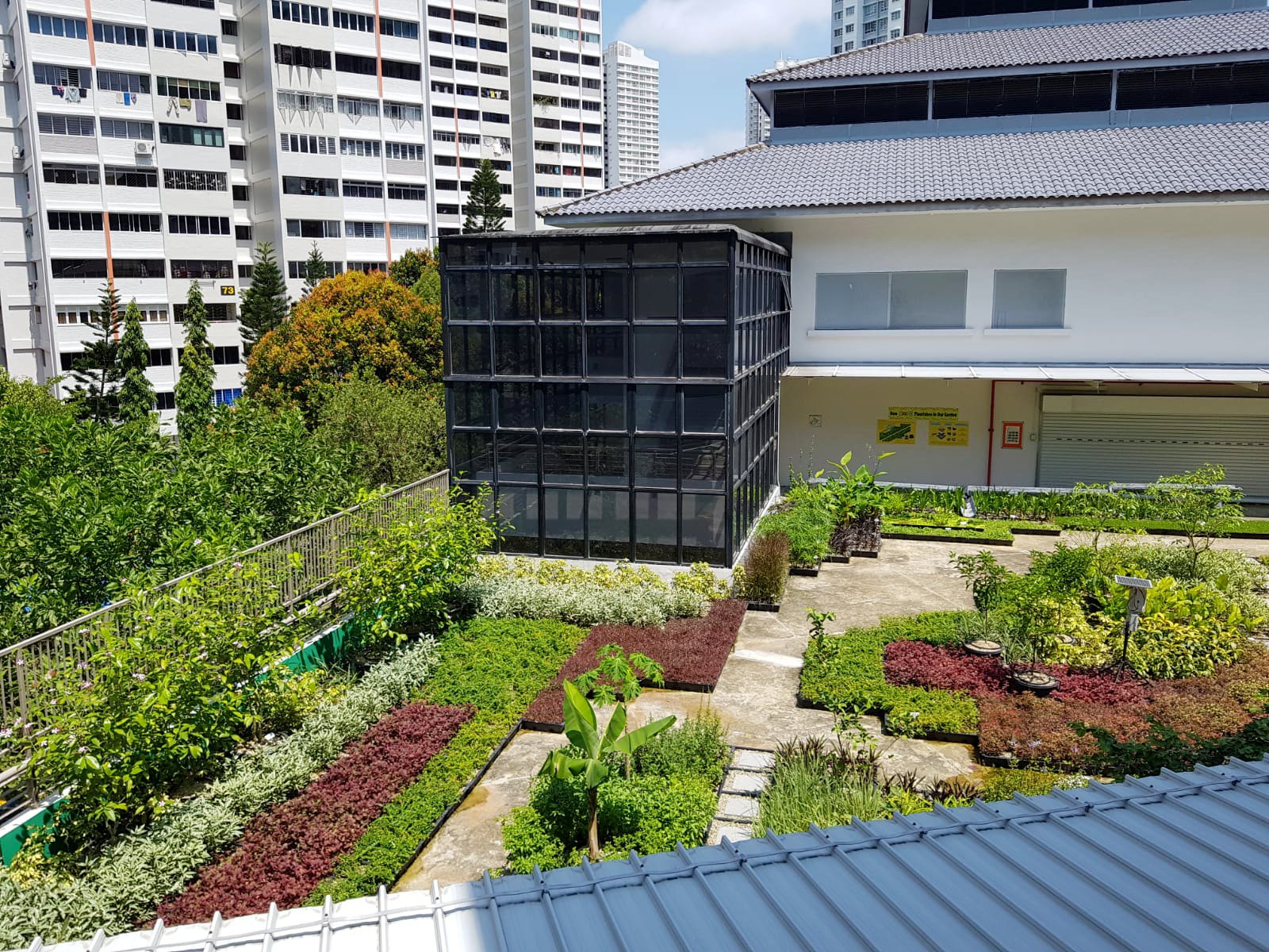 WhatsApp Image 2022-06-15 at 4.43.58 PM.jpeg