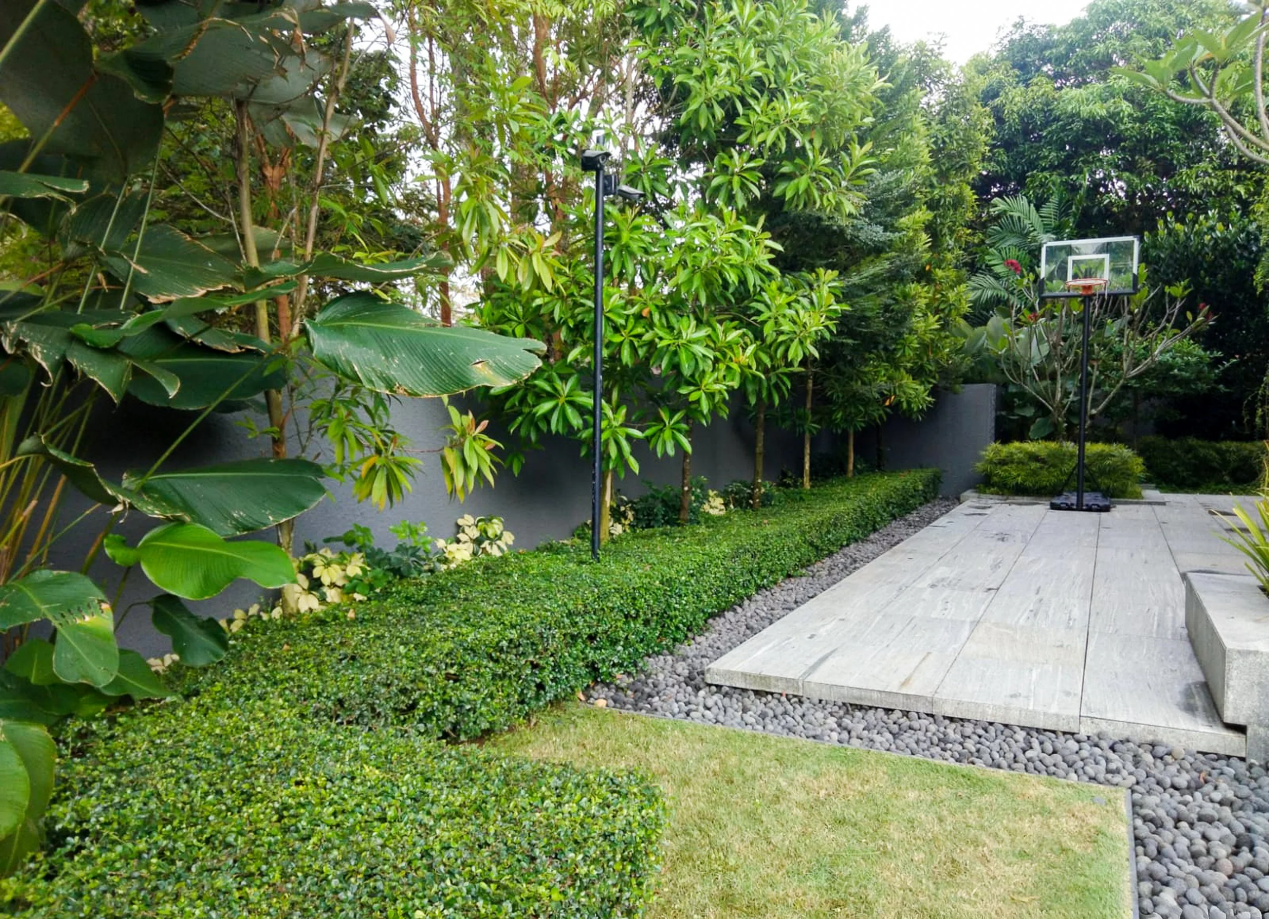 A backyard with a basketball hoop, green plants, trees, and a paved stone area.