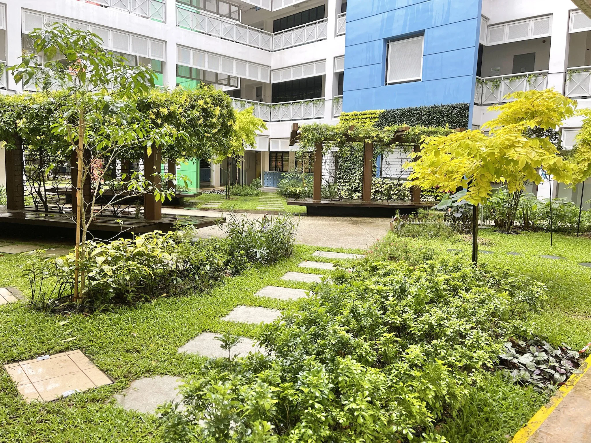 A landscaped courtyard with various green plants, trees, and shrubs, surrounded by modern white buildings with balconies and a blue accent wall.