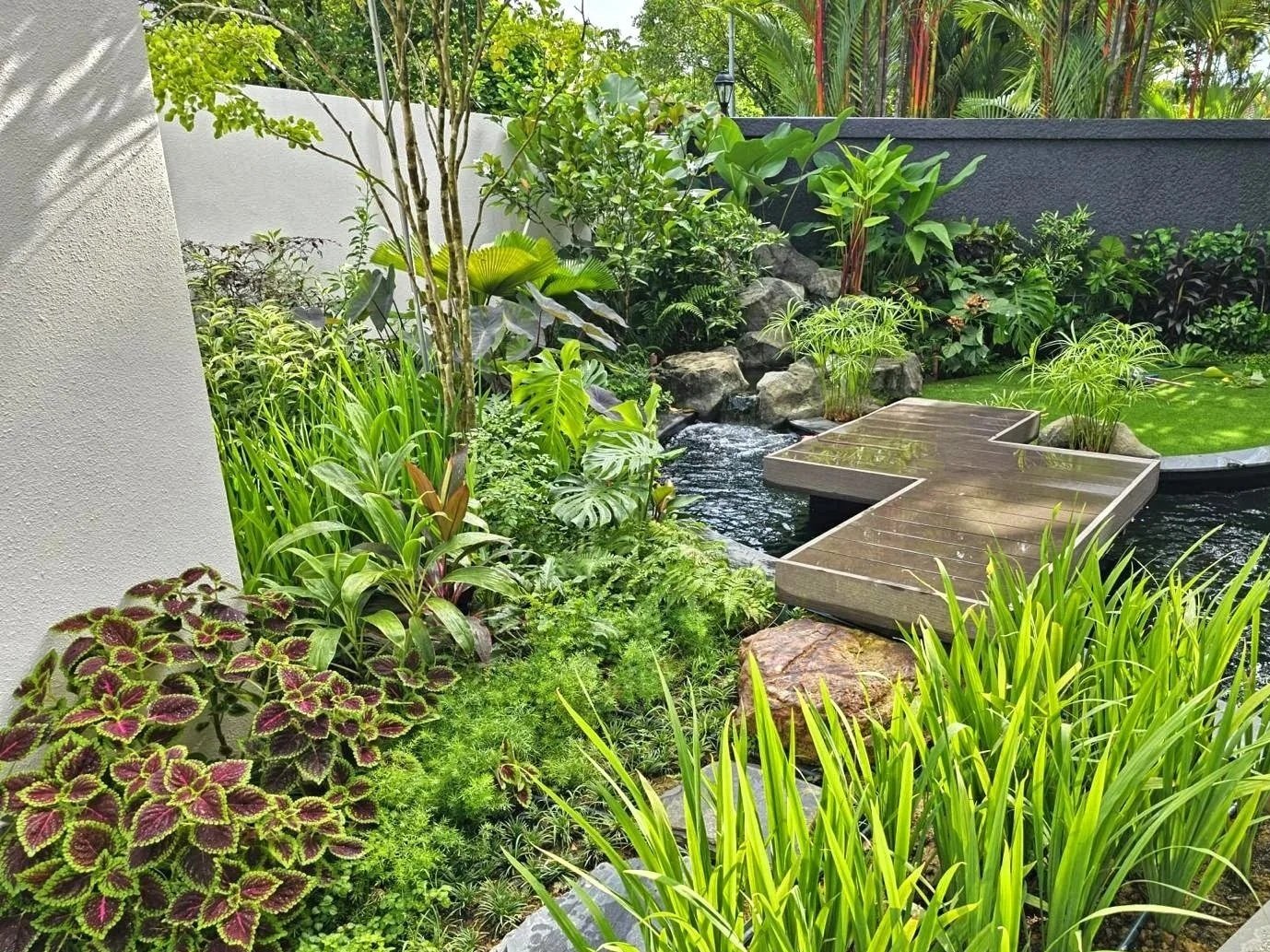 Lush garden with various green plants, tropical foliage, and a small pond with a floating wooden platform, surrounded by rocks and a gray border wall.