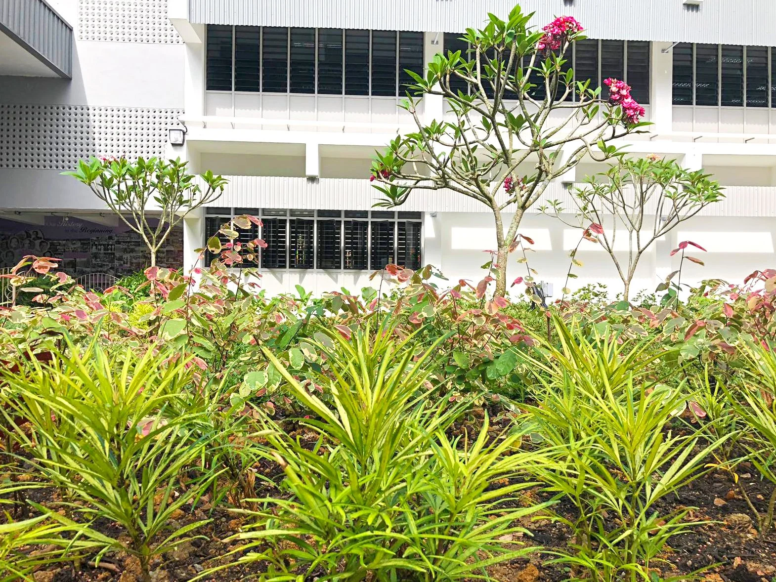 WhatsApp Image 2019-01-17 at 4.22.11 PM.jpeg