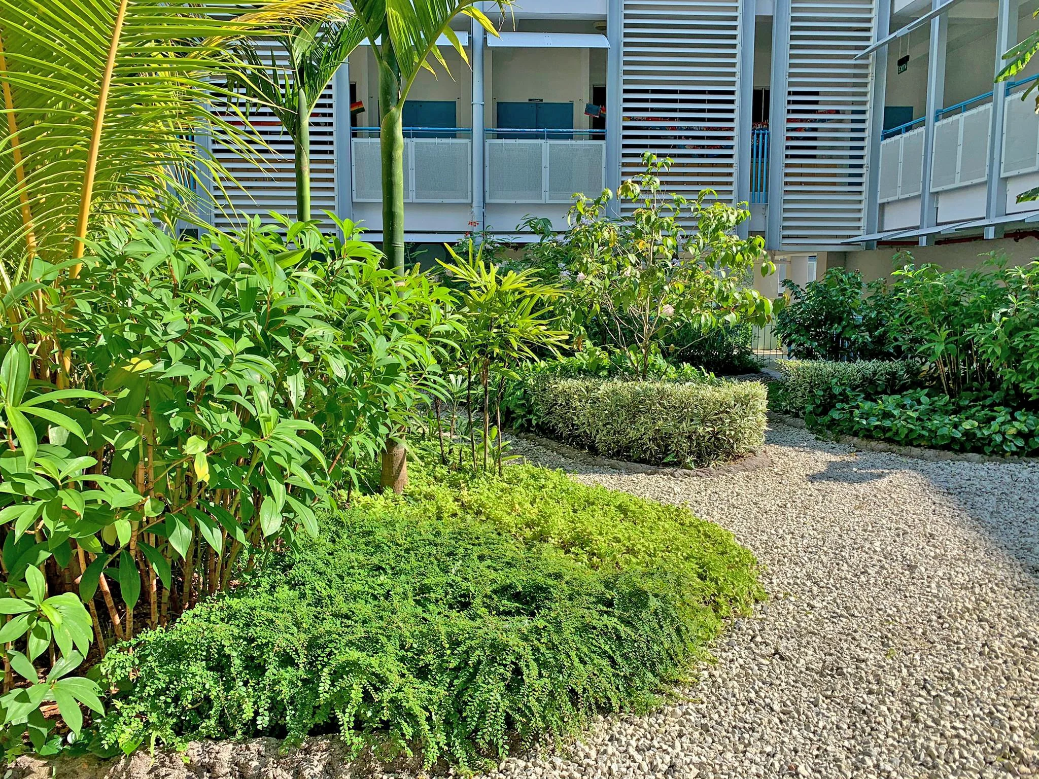 A lush garden with various green plants and shrubs, a gravel pathway, and a modern building with white balcony railings in the background.
