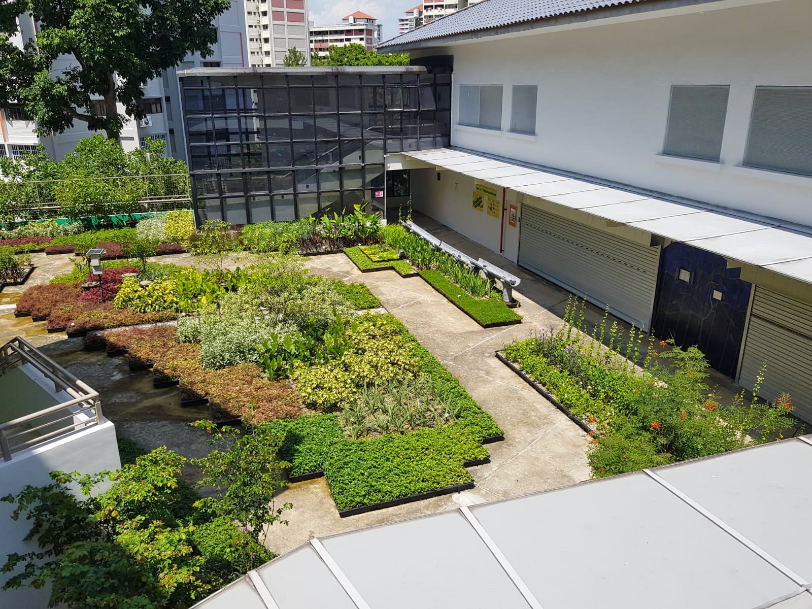 WhatsApp Image 2022-06-15 at 4.43.57 PM.jpeg