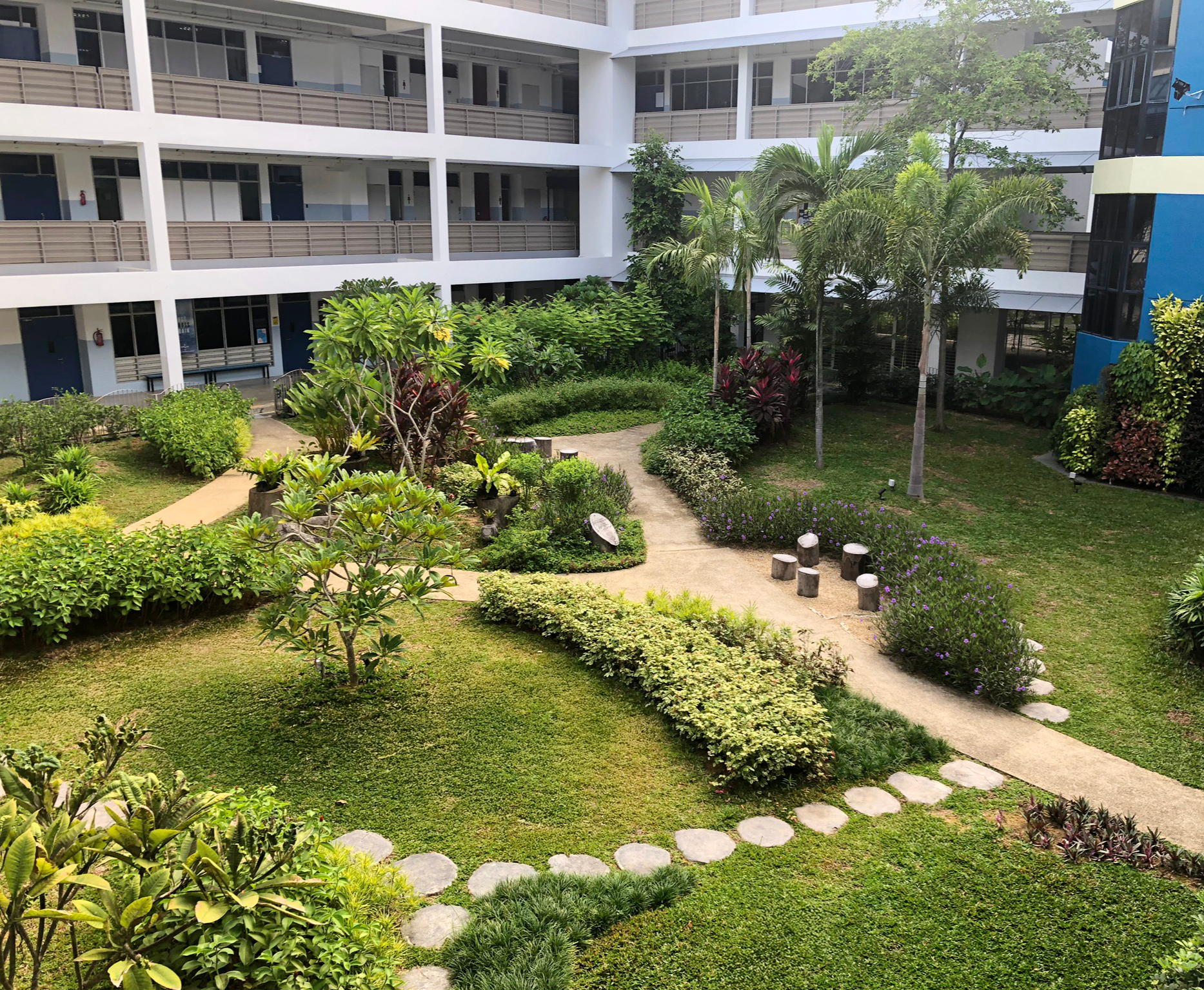 View of a courtyard garden in a modern apartment complex with pathways, lush green plants, palm trees, and seating areas.