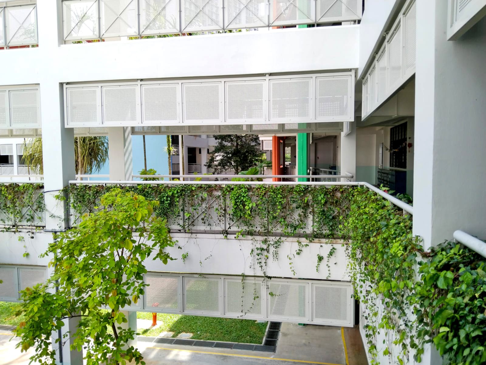 WhatsApp Image 2024-02-01 at 3.52.02 PM (1).jpeg