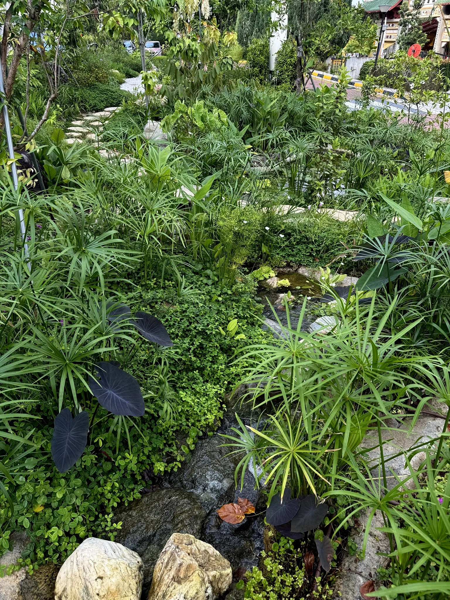 Lush green garden with various leafy plants, some with dark purple leaves, a small pond or water feature, and a stone pathway.