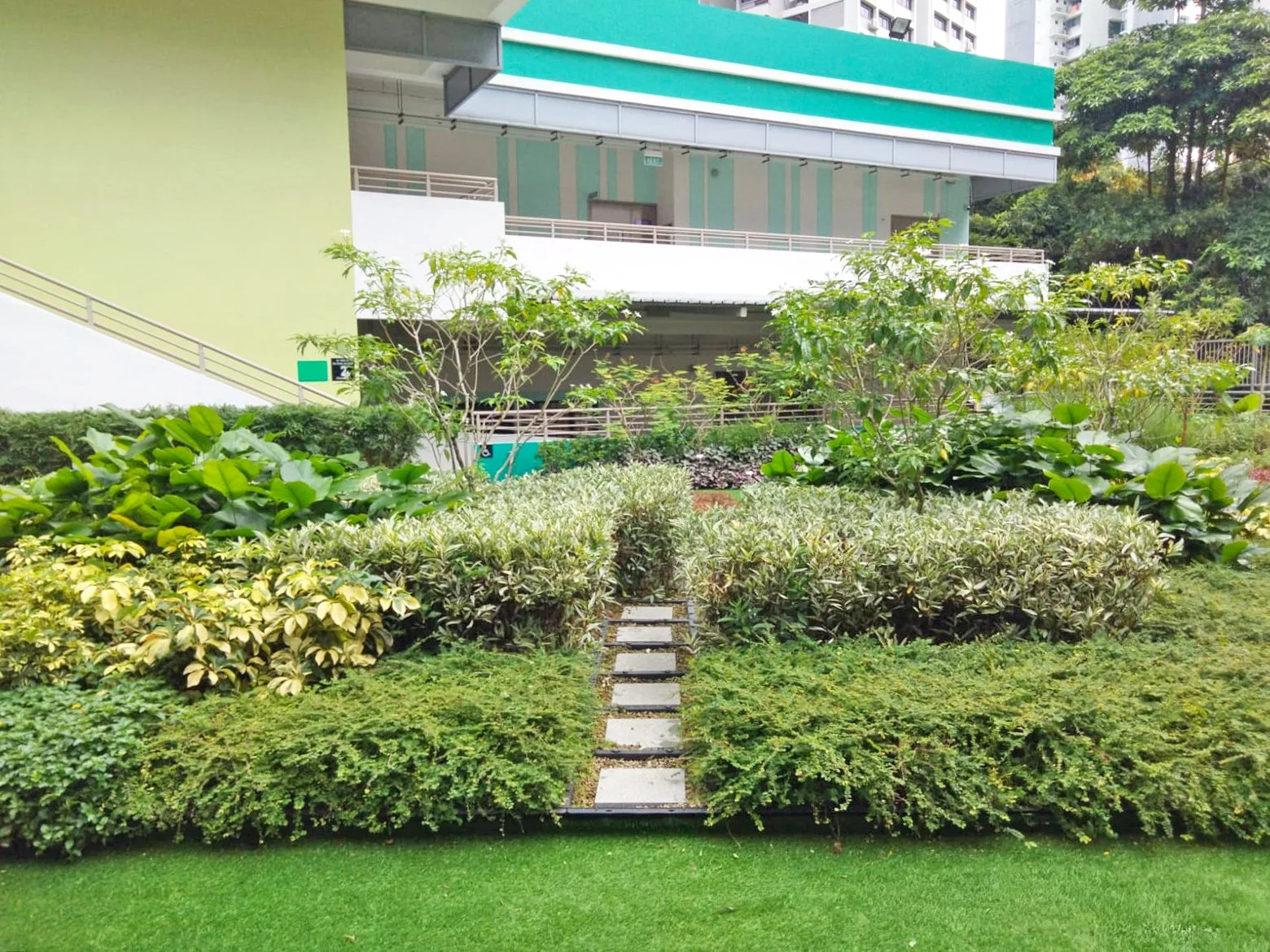 WhatsApp Image 2024-02-01 at 3.53.00 PM (1).jpeg