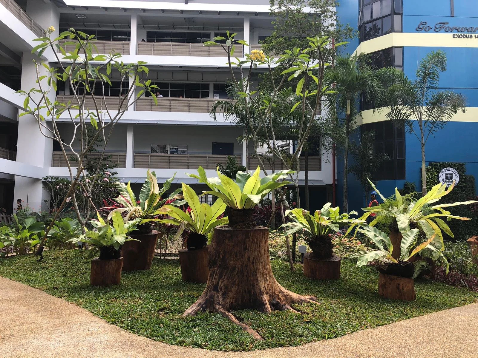 WhatsApp Image 2019-01-17 at 4.22.14 PM.jpeg