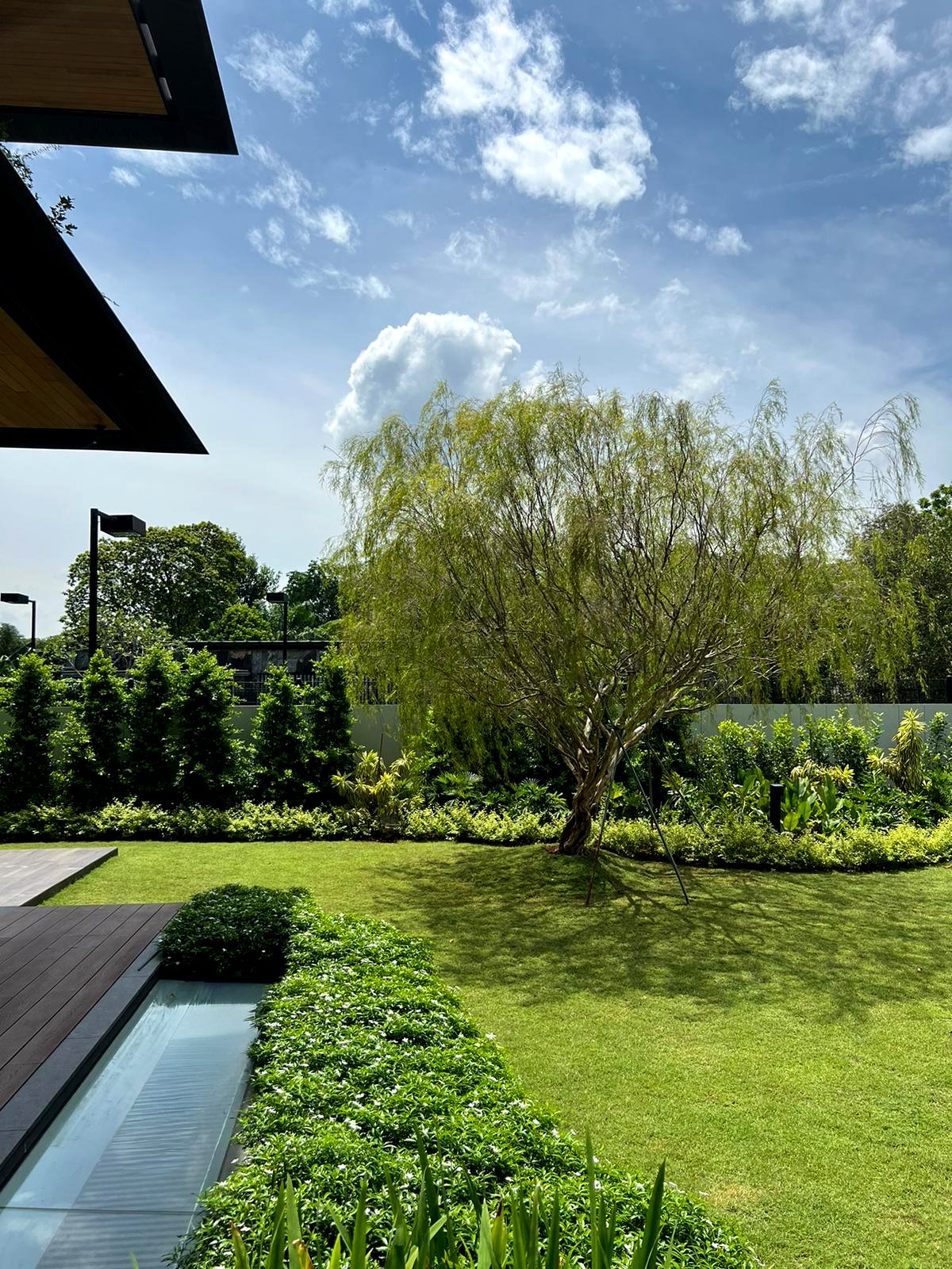 A backyard garden with a tree, lush green grass, garden plants, and a wooden deck on the left side under a partly cloudy sky.