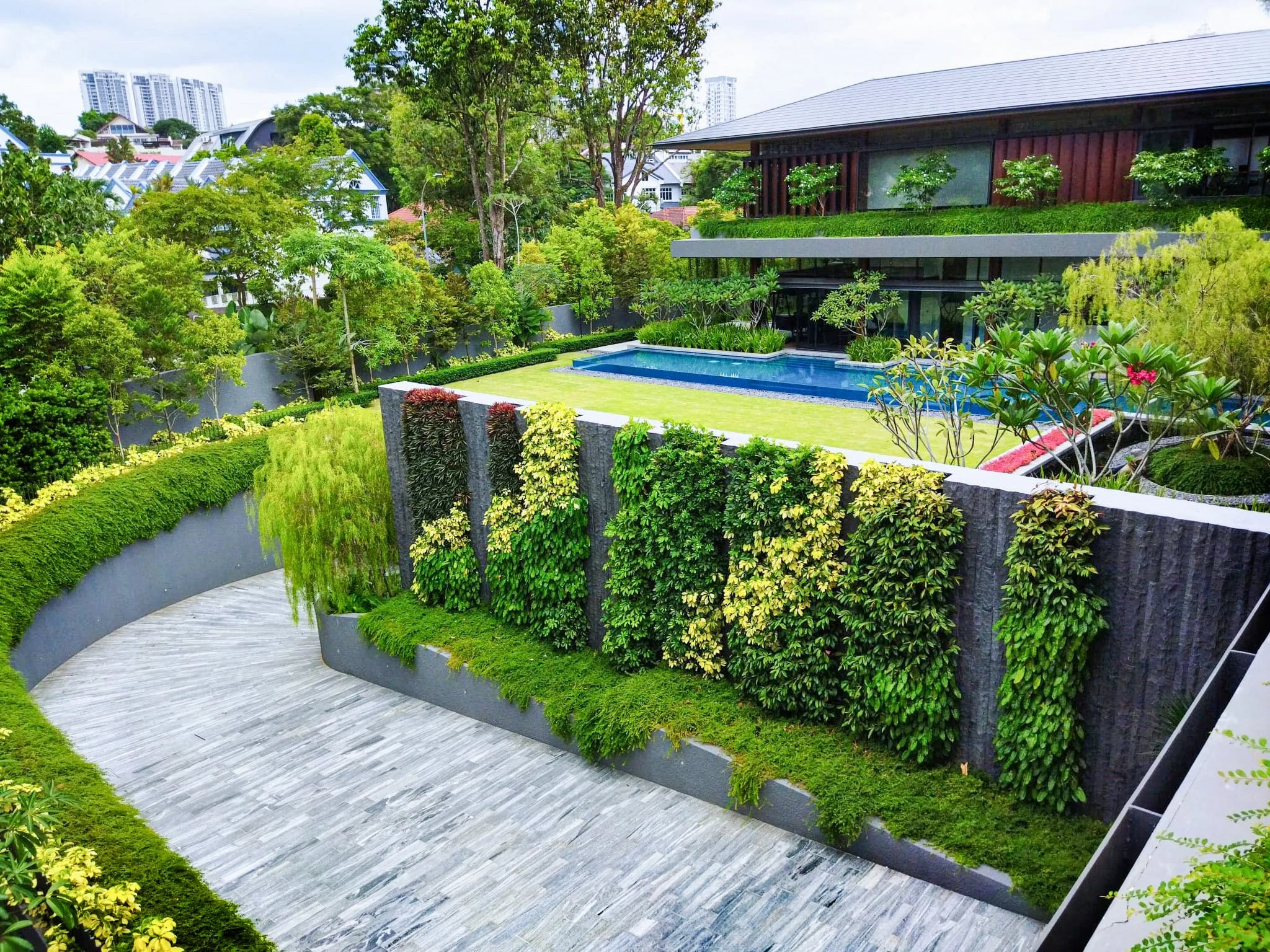 View of a modern backyard with a swimming pool, lush green plants, trees, and a curved pathway, surrounding a contemporary house with large windows.