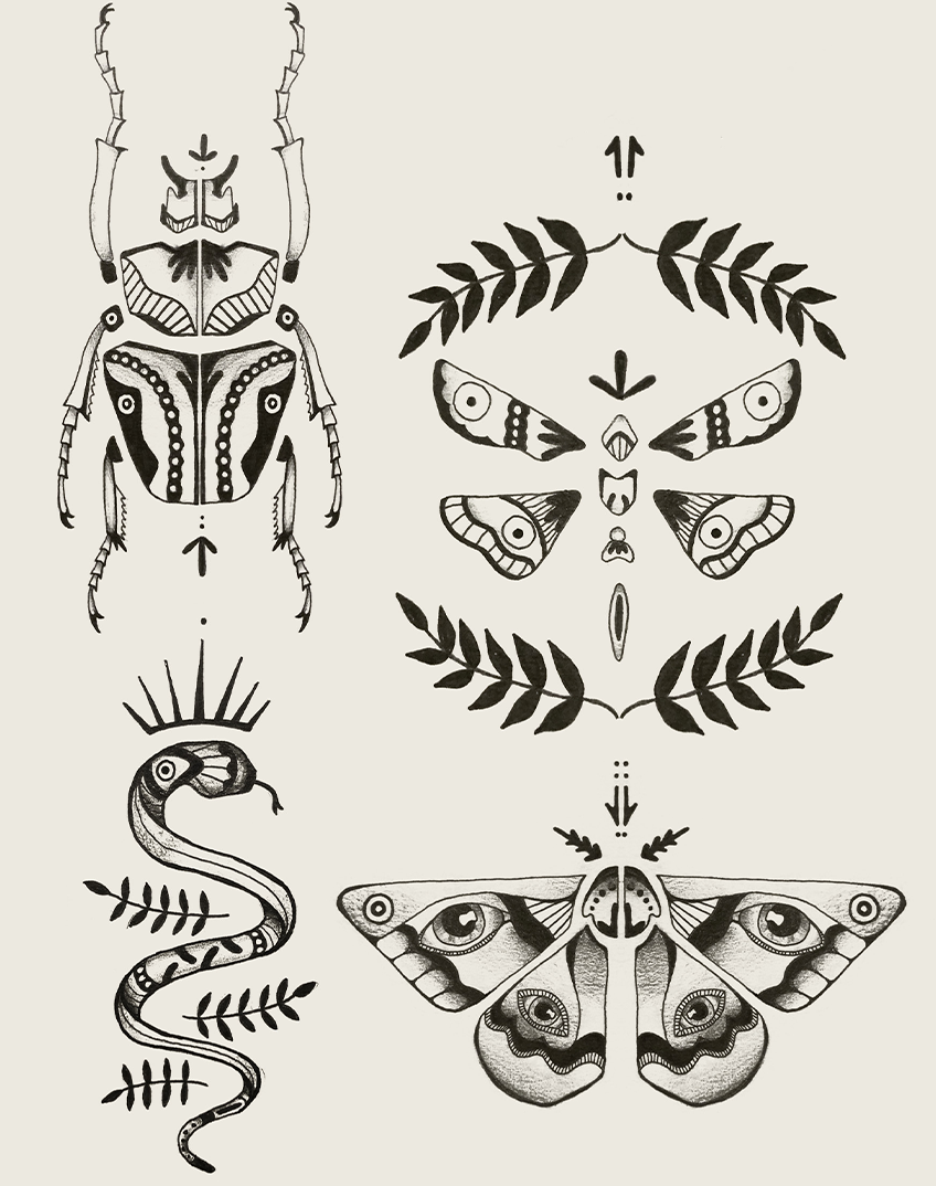 Bug-Collector-Icons .png