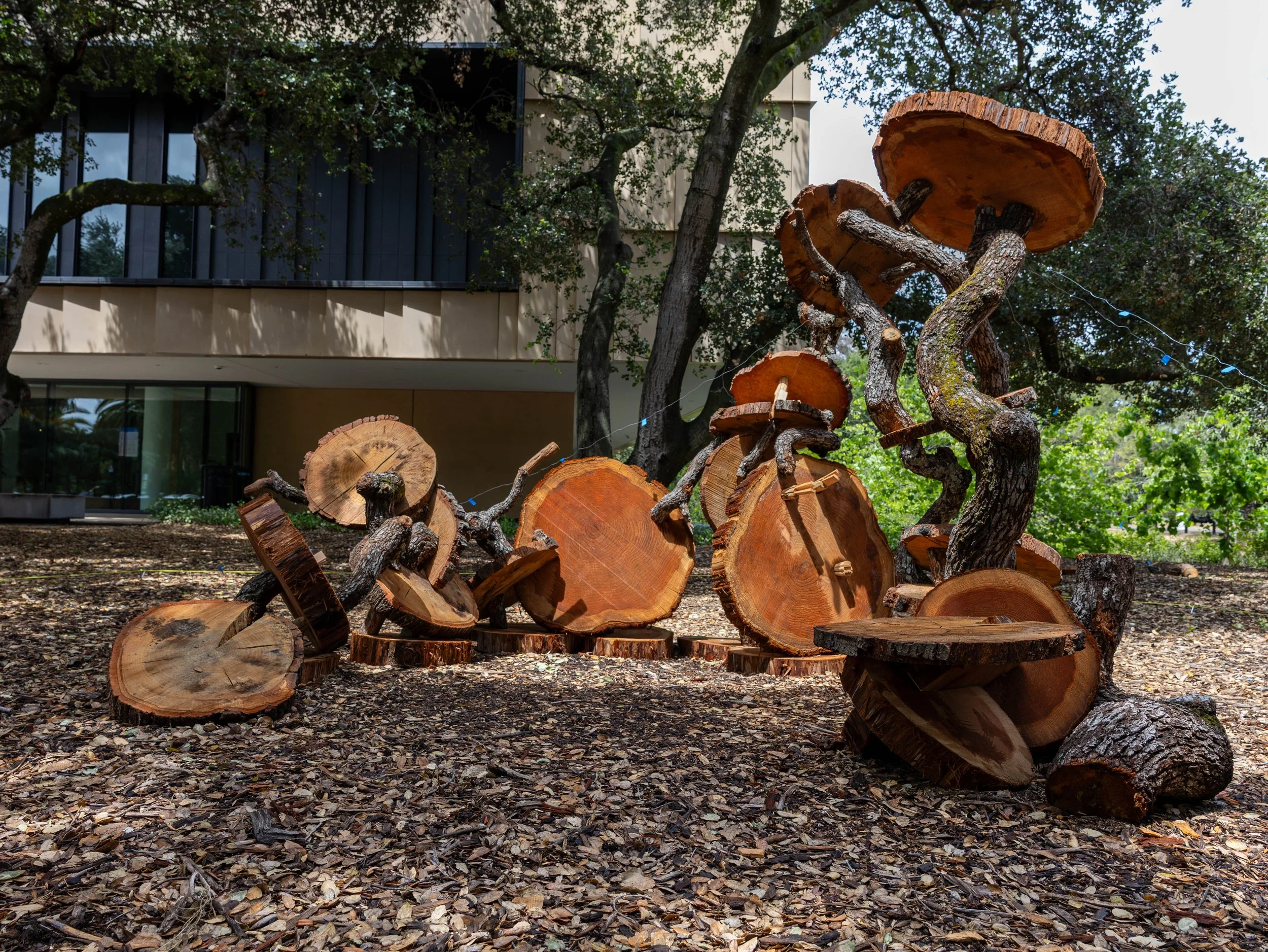 untitled-18.jpg