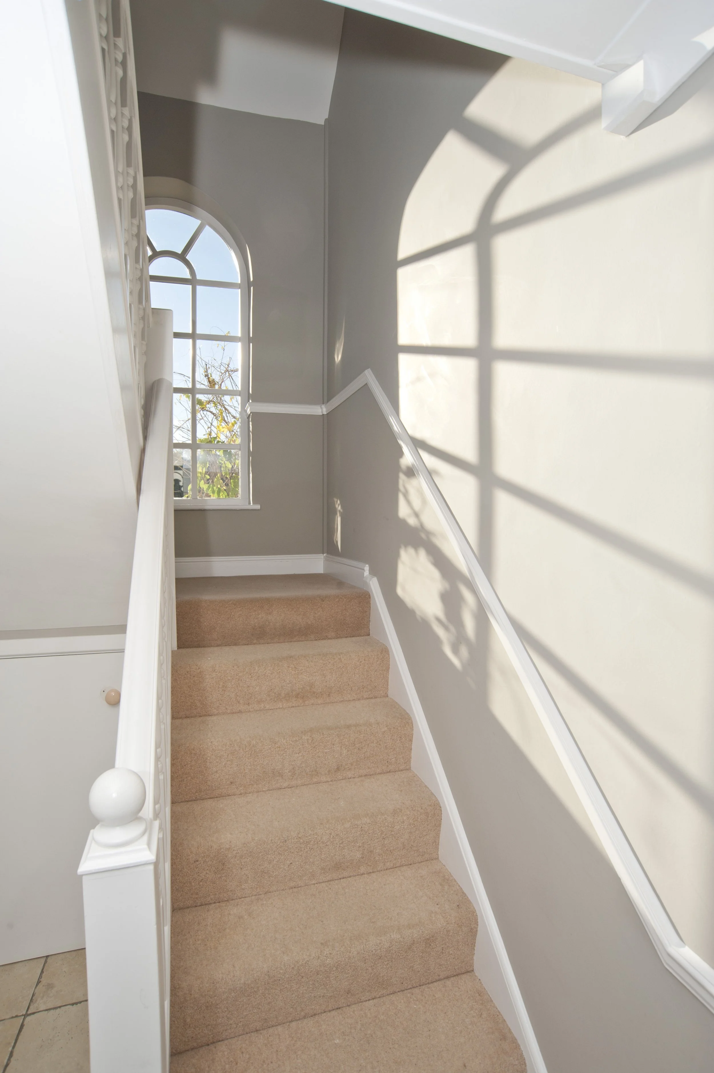 Indoor staircase with beige carpet, gray walls, white trim, and a window casting shadows.