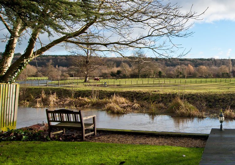 A serene rural scene with a wooden bench overlooking a river, grassy yard, and a fenced field with grazing horses in the background under a partly cloudy sky.