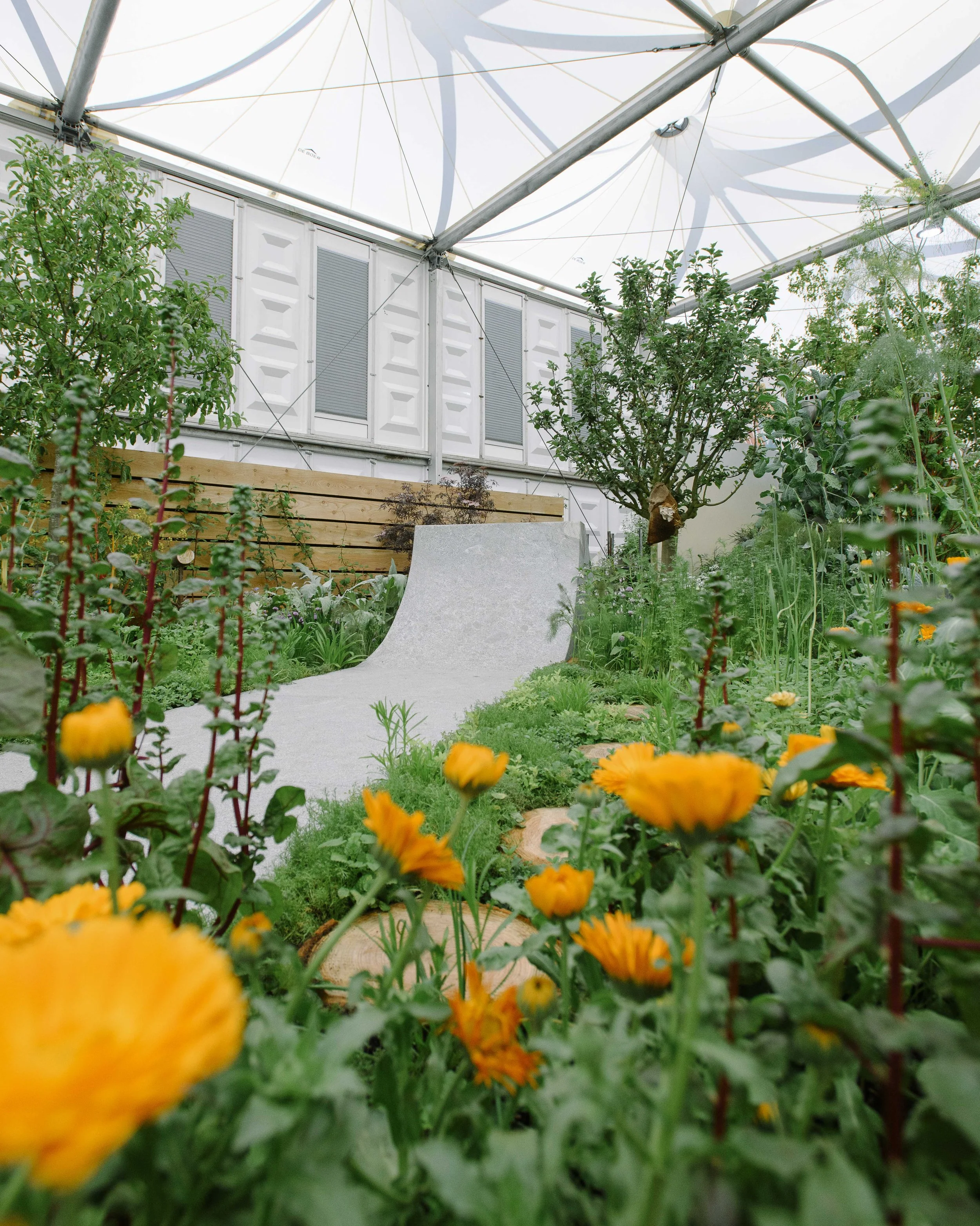 A garden with a concrete skateboard ramp, small wooden benches, lush green plants, flowers, and trees, Urban Organic installation for RHS Chelsea Show 2024. Innovative garden combined skateboarding and community gardening to support mental health and