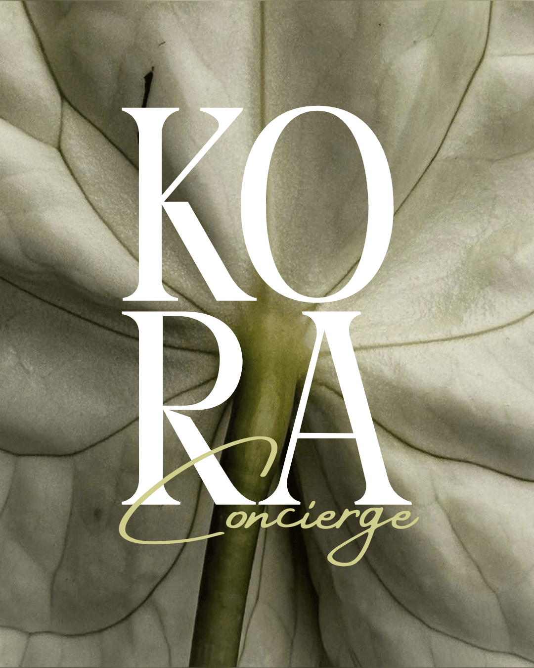Logo design for a premium events styling and gifting concierge service called ‘Kora Conciere’