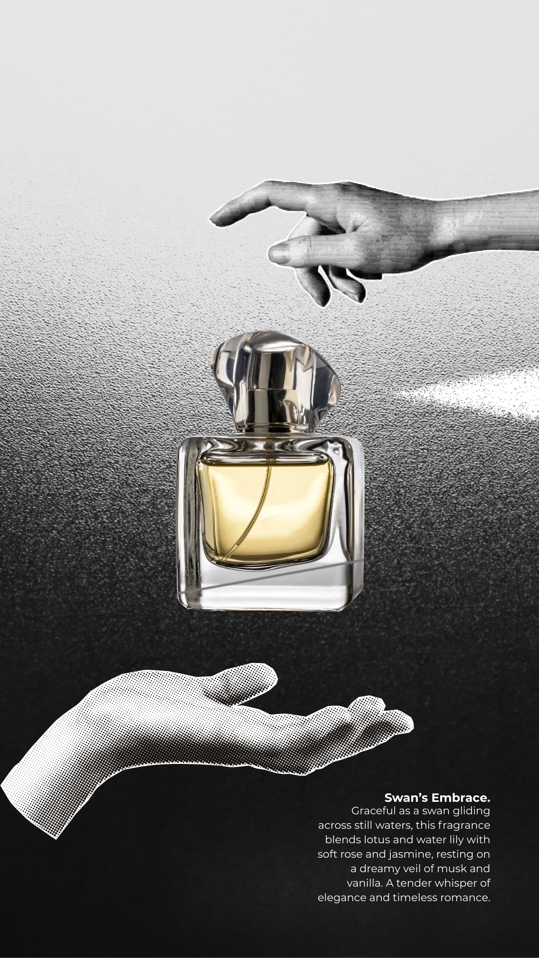 A perfume bottle with perfume inside is positioned between two hands, one above and one below, against a textured gradient background. The image includes descriptive text about the fragrance named 'Swan's Embrace,' emphasizing elegance and romance.