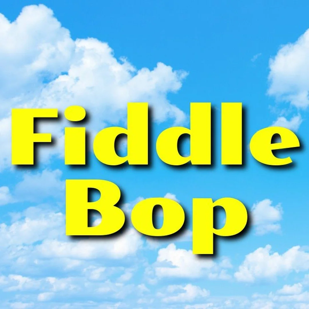 FiddleBop Gig