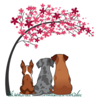 Three dogs sitting and looking at pink flowering tree