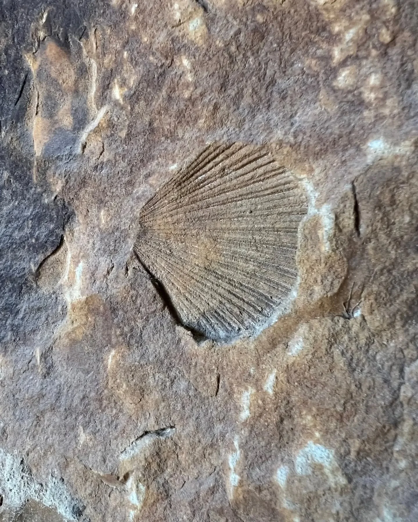 Materi&aacute;ly jsou na&scaron;e v&aacute;&scaron;eň...nezaměniteln&eacute; a pravdiv&eacute;.
Hrajeme si s pocitem z nich, vkl&aacute;d&aacute;me je do neoček&aacute;van&yacute;ch kontextů a kombinac&iacute;. Kvalitn&iacute; materi&aacute;ly přin&a