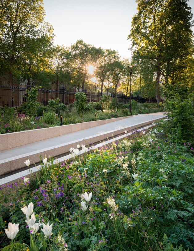 Sunset over a lush garden park with blooming flowers, trees, and a concrete walkway.