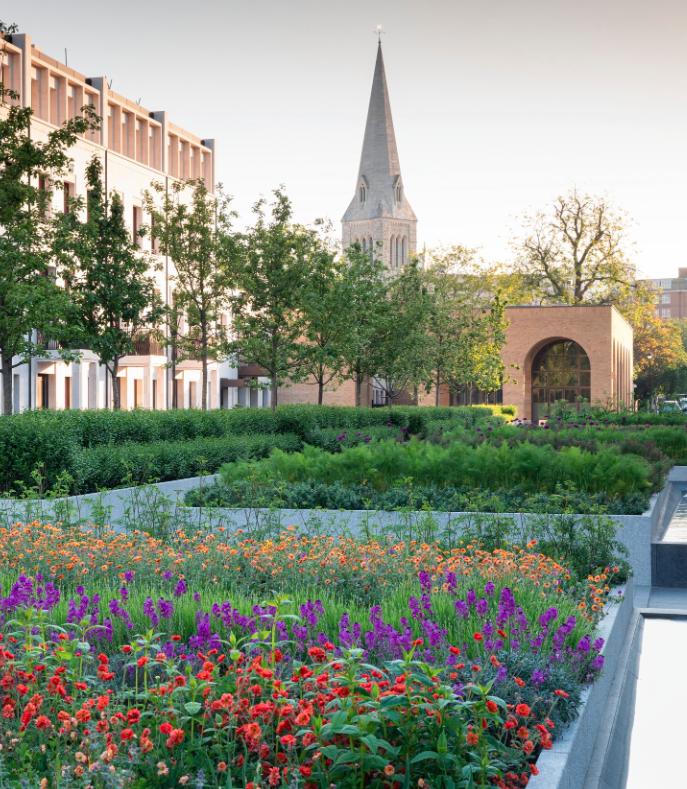 Urban garden with colorful flowers, green trees, a church steeple, and a modern building in the background during daytime.