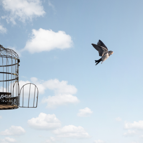 Why We People-Please (and How to Gently Untangle From It)