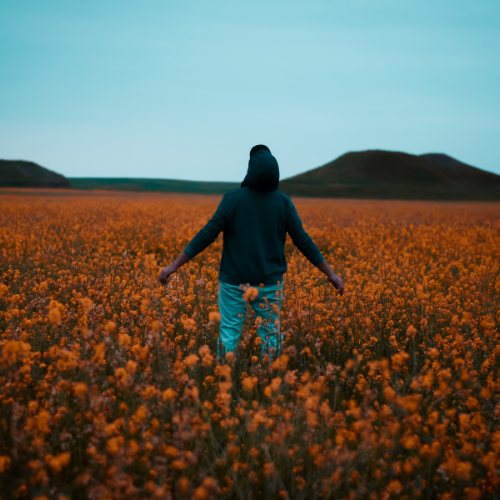 Feeling Lost: Finding your inner compass 