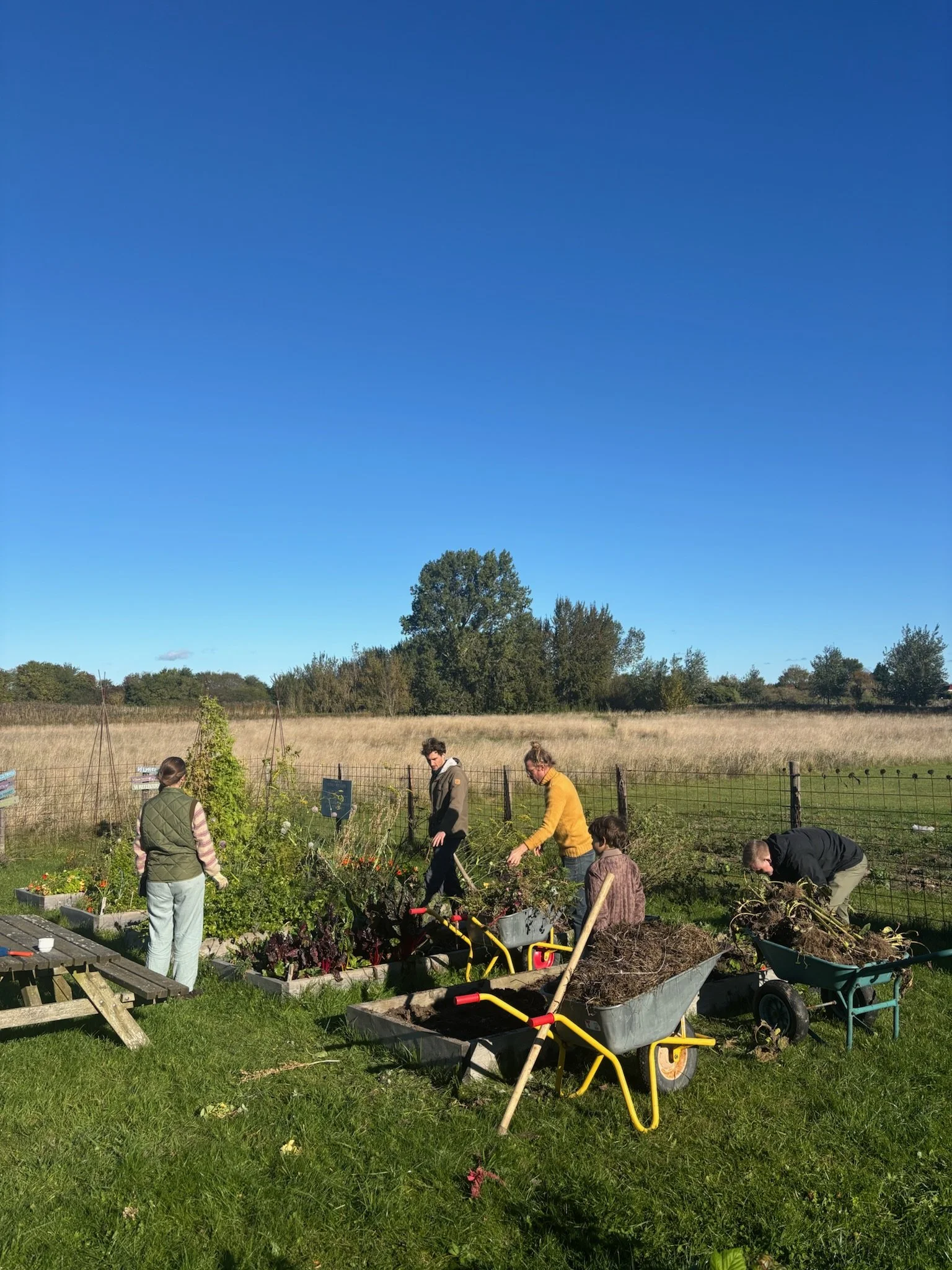 Personer arbejder i en have med trillebøre, planter og haveredskaber, indstilling af natur- og landbrugslandskab under en klar, blå himmel.