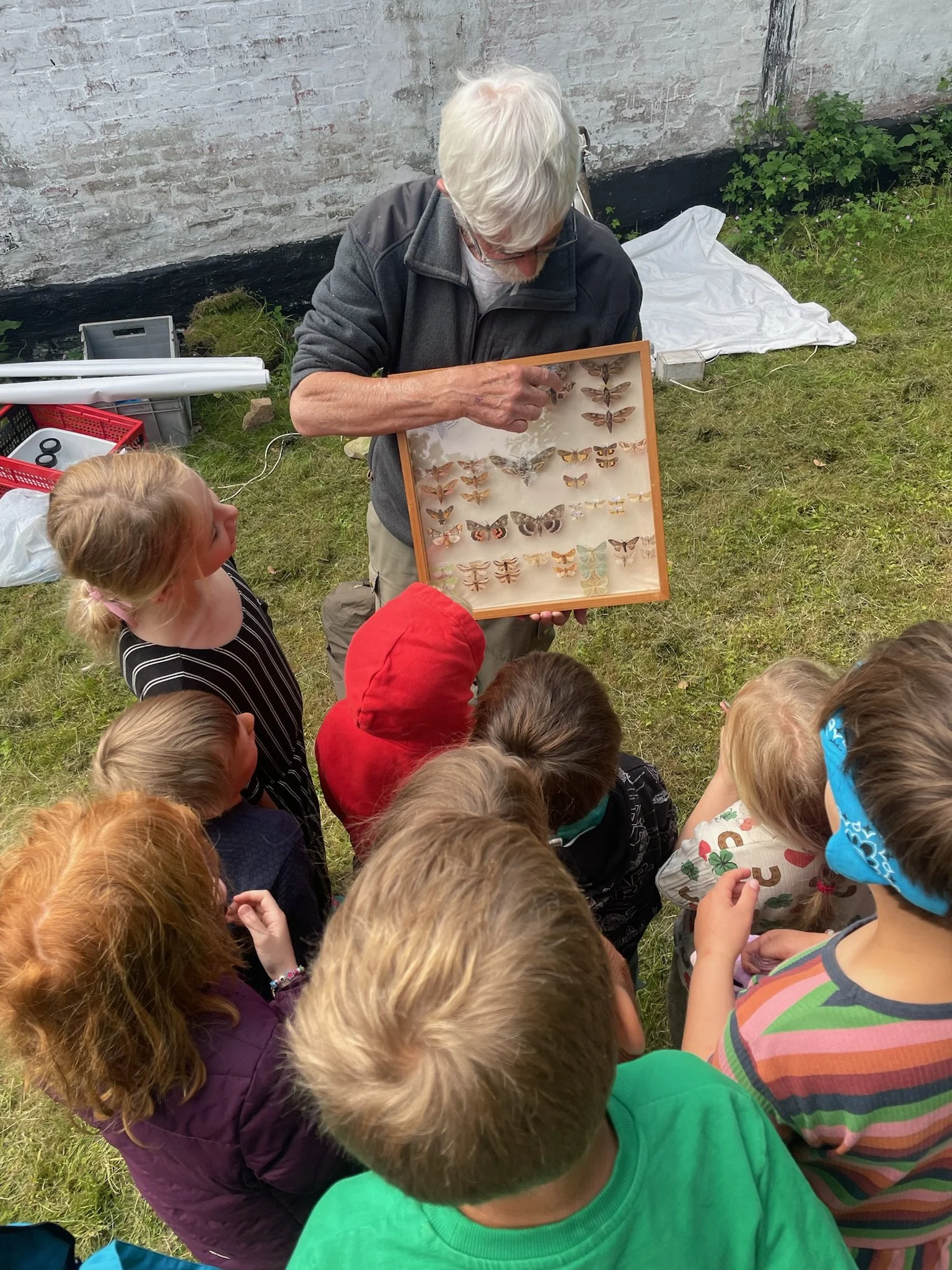 En ældre mand viser en ramme med insekter til en gruppe børn udendørs.