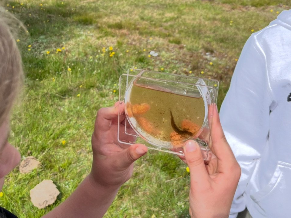 To personer håndterer en glasakvarium med en ugle indeni.
